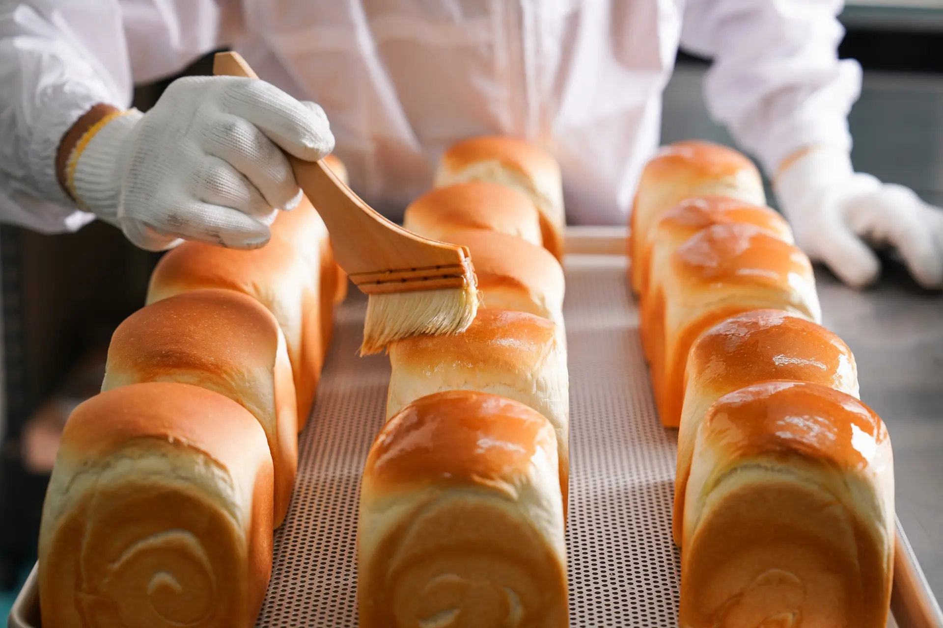 【小真實生吐司】吐司形象照