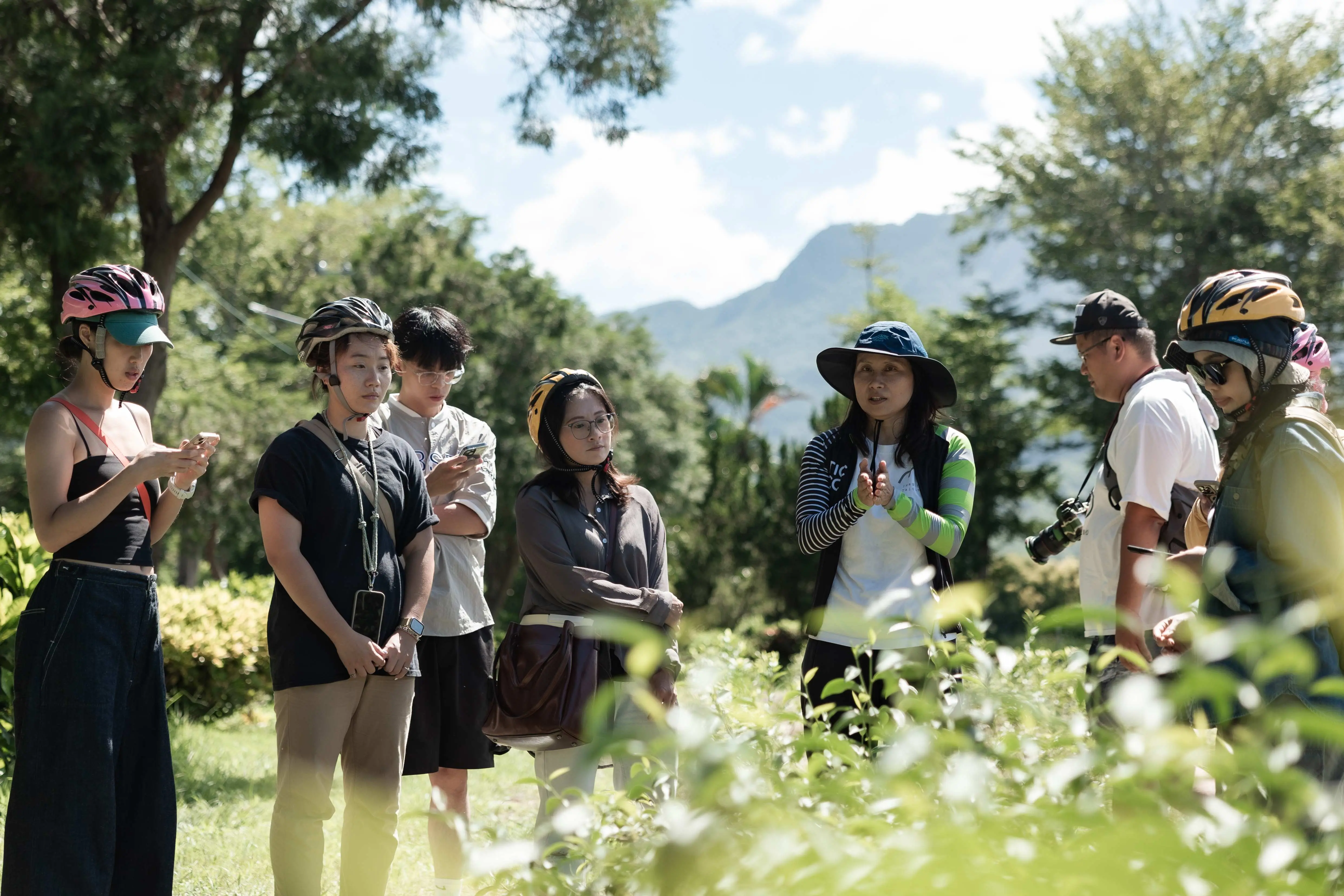 【臺東縣政府】專業導覽老師介紹茶園2