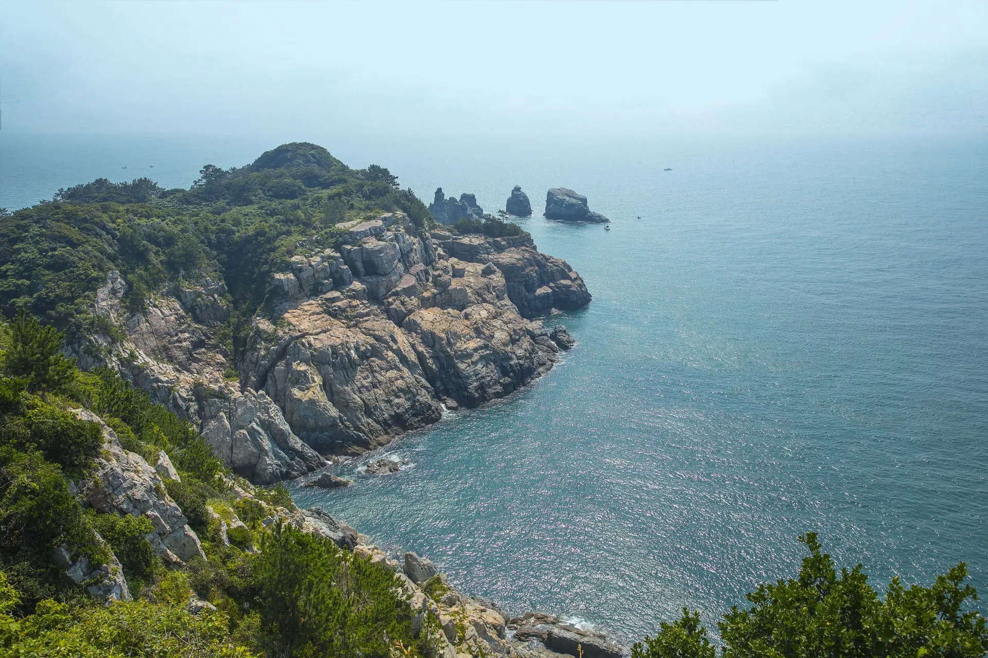 韓國外島botania【 Istock】不只能飽覽花草樹木，島上許多地方更能欣賞到優美海景。