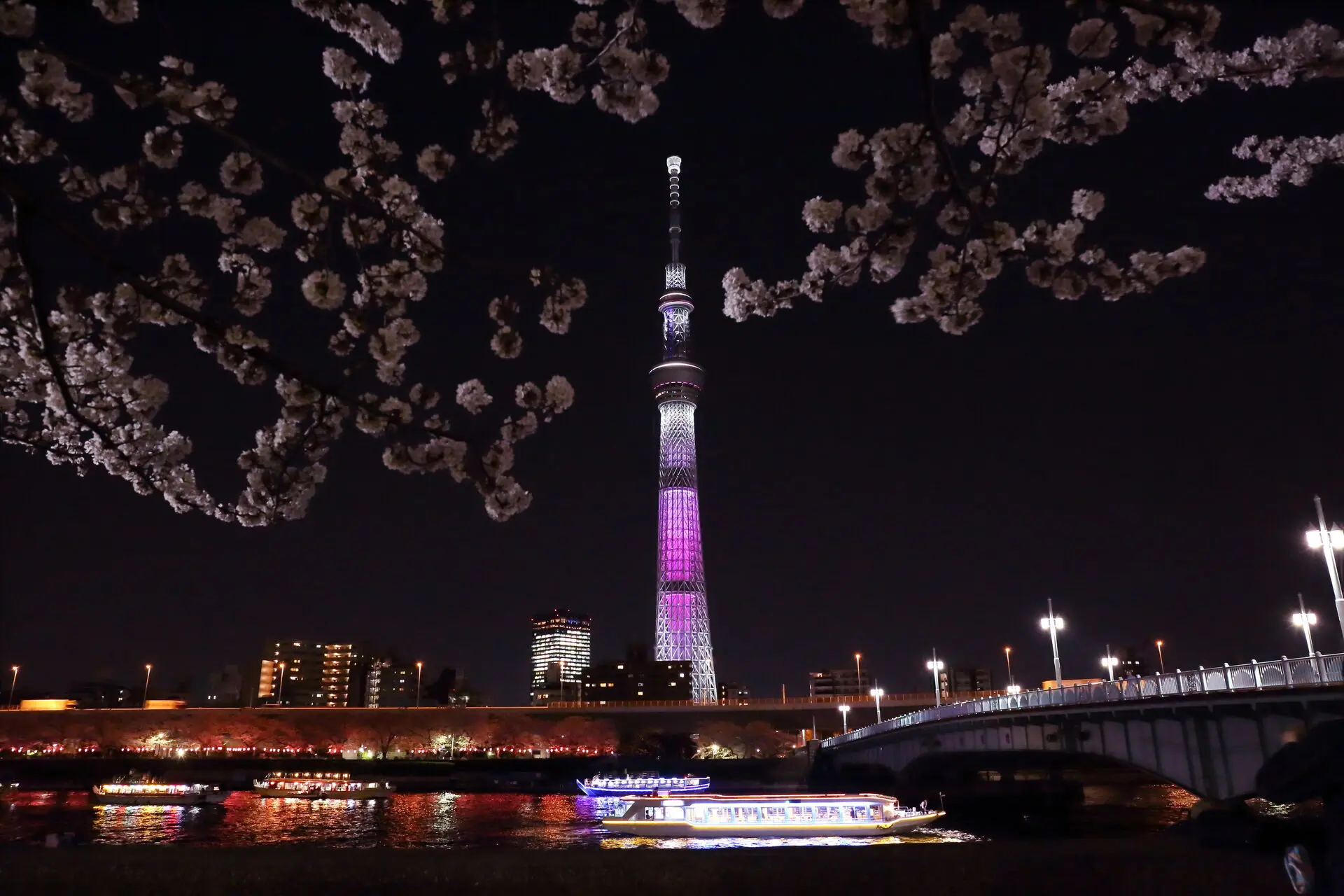 探訪亞洲庇佑姻緣廟宇 日本 今戶神社【photoac/kakashi】趁著櫻花季搭乘船形屋來趟夜巡,以體會城市不同樣貌的美。