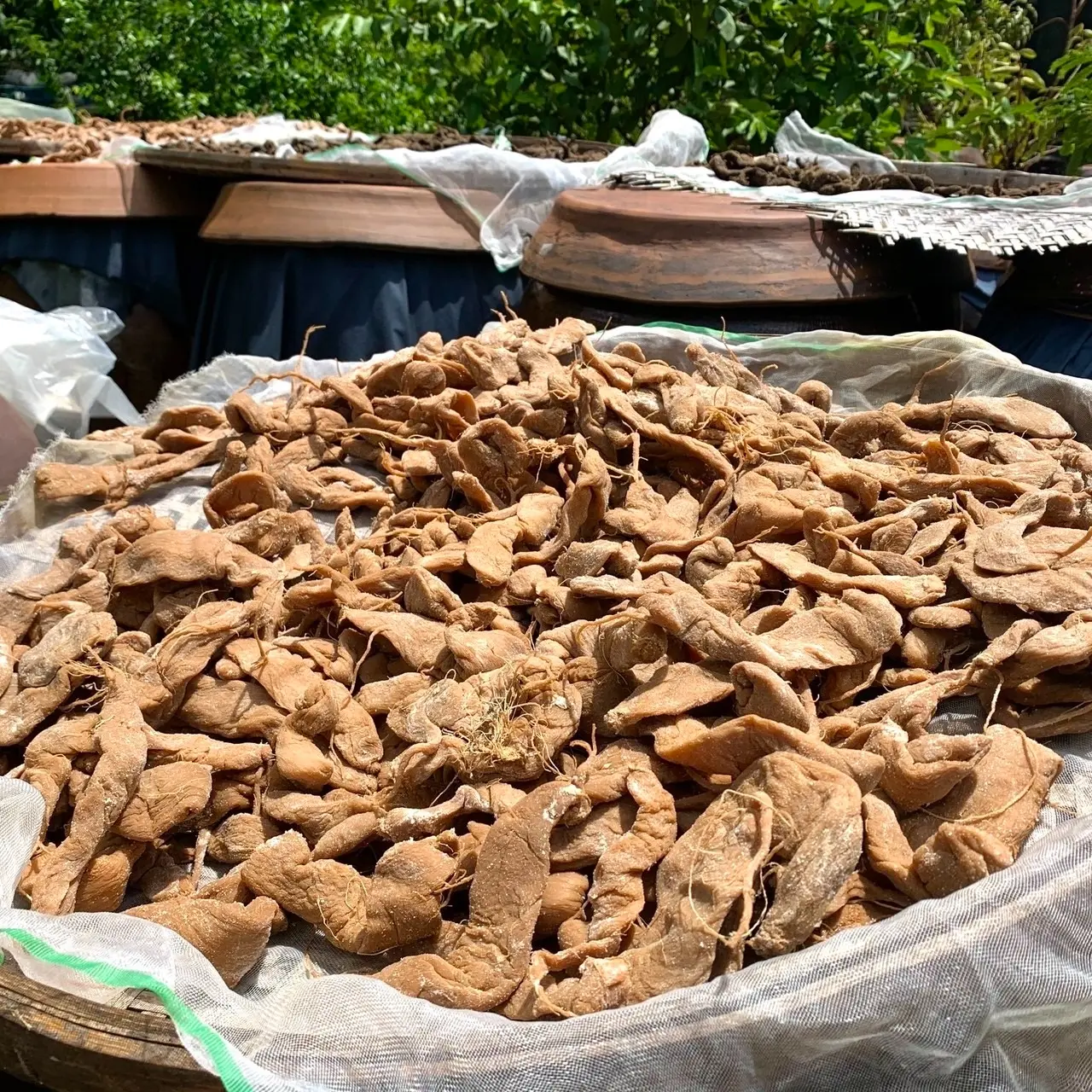 新聞素材八：the One 從「飲食地景」概念出發，將蘊藏歲月韻味的老蘿蔔乾，形成一場風土生活提案