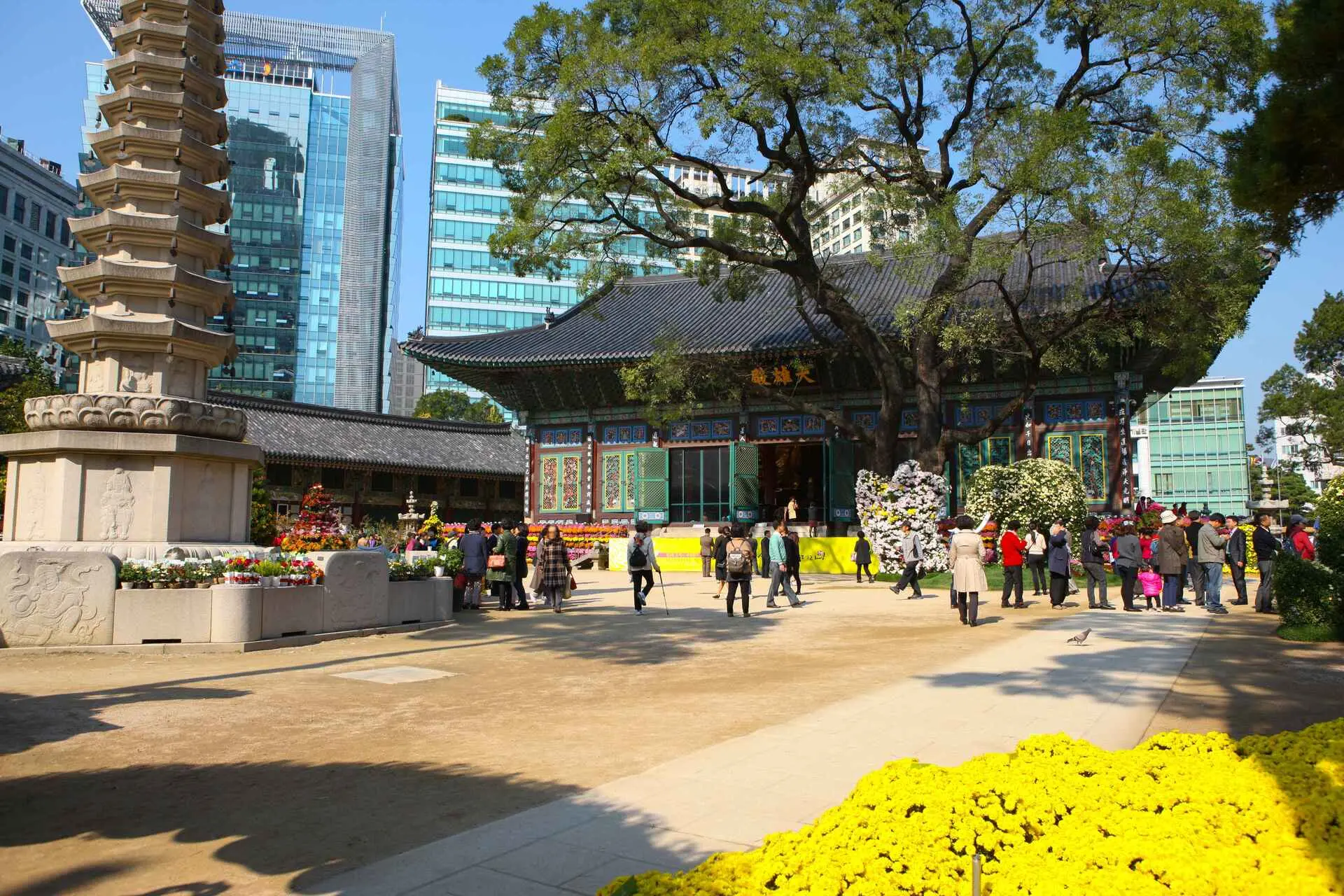 探訪亞洲庇佑姻緣廟宇 韓國 曹溪寺【 Korea Tourism Organization Photo Korea Kim Jiho】大雄殿前方則是槐樹與「八面十層舍利佛塔」，襯托出廟宇的神聖氣勢。