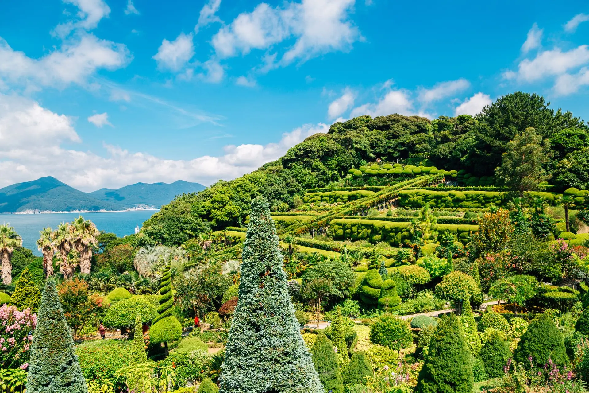 韓國外島botania【 Istock】島上處處林木蓊鬱，充滿鳥語花香。