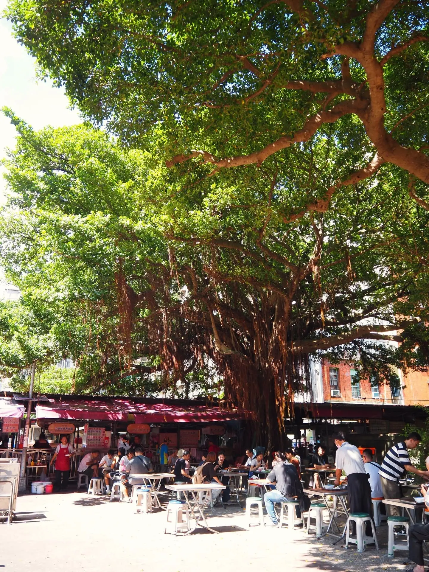 探訪亞洲庇佑姻緣廟宇 台灣 霞海城隍廟 【kai Hung】慈聖宮廟埕前就是美食攤位的內用區，在樹蔭下享受獨特用餐體驗。