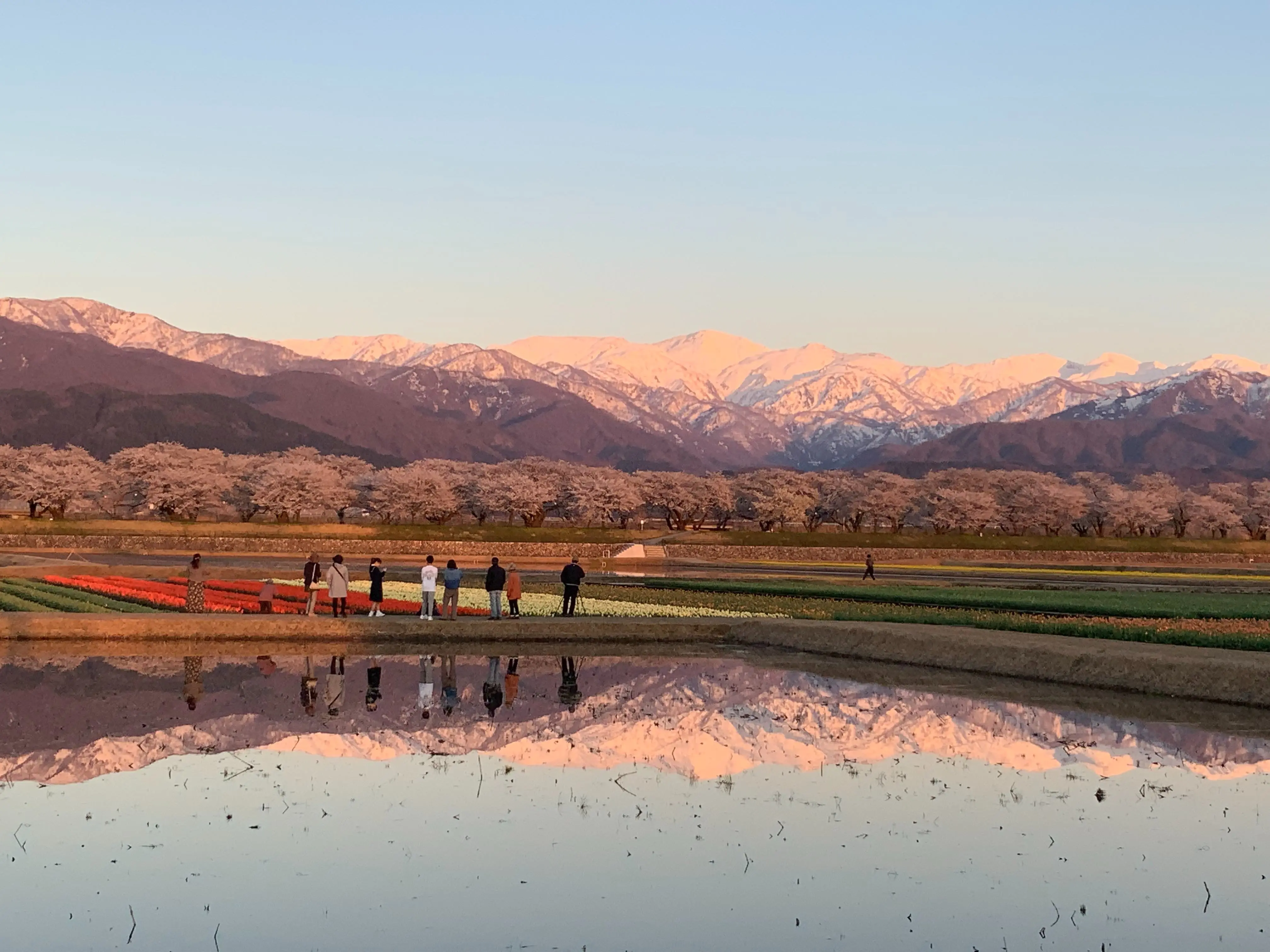 【富山縣朝日町】如同鏡子般映照出周遭景象的「鏡み田」，給人一種優美的靜謐感。
