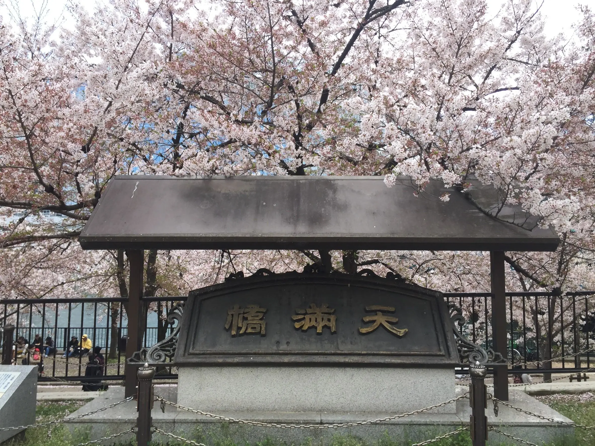 【臺灣產物保險】01