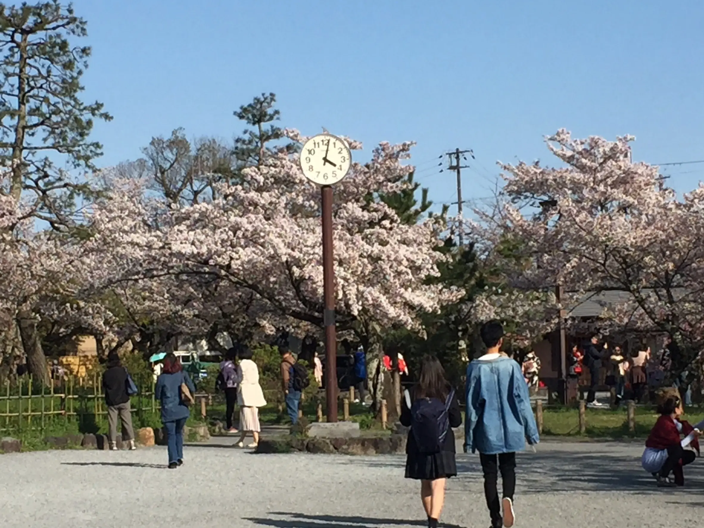 【臺灣產物保險】06