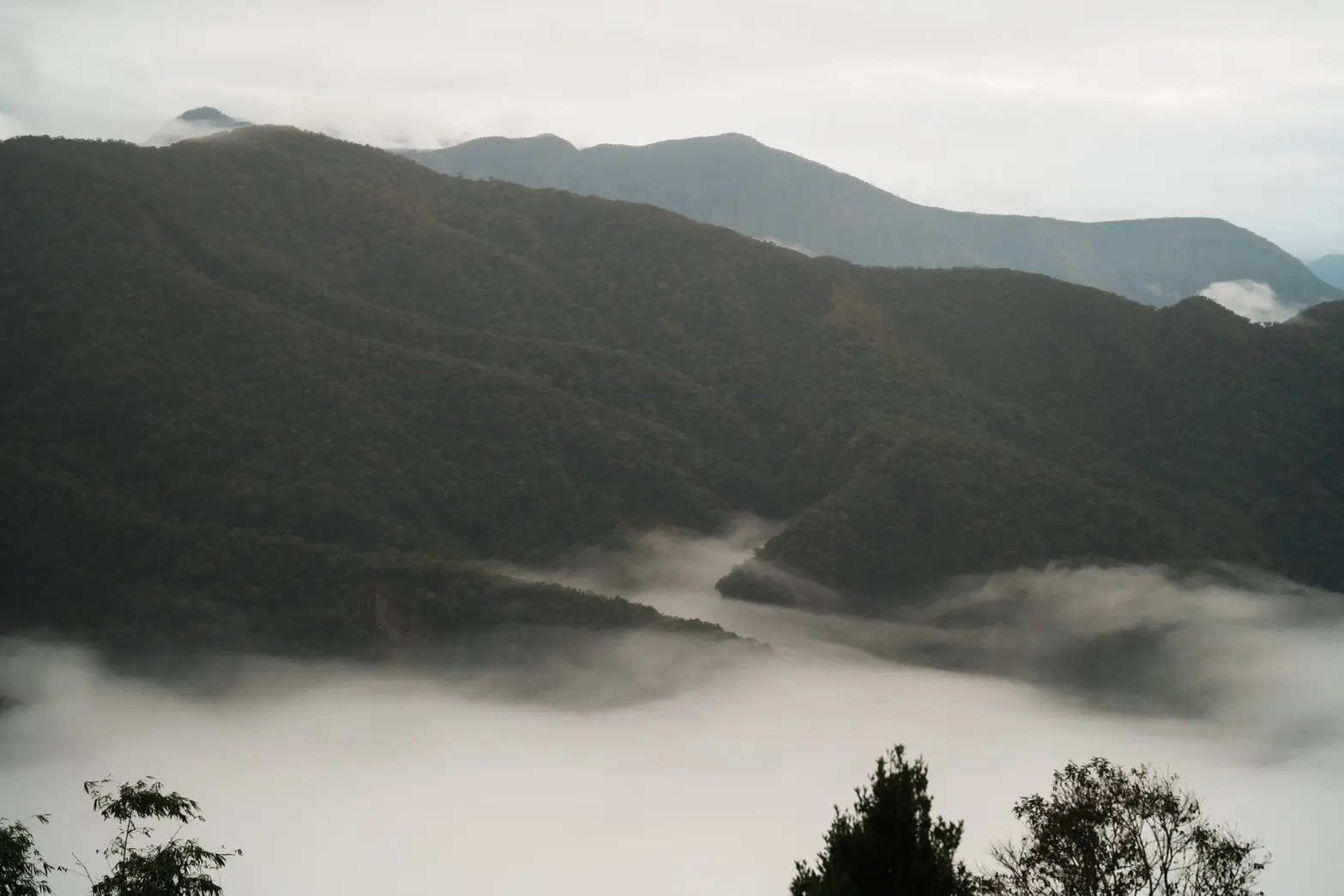 【高雄全國原住民族運動會】02