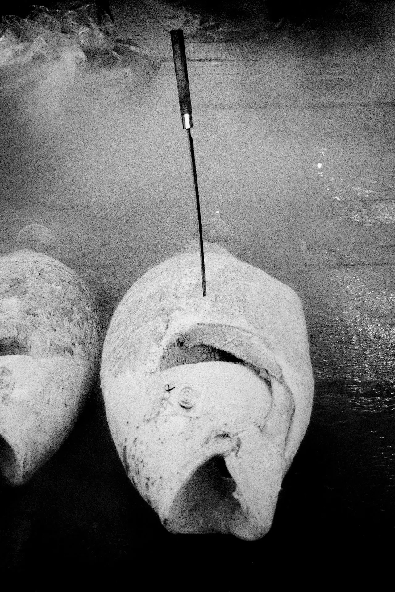 Photo One25 台北國際影像藝術節【photo One25 台北國際影像藝術節】築地魚市場 沈昭良 也趣藝廊