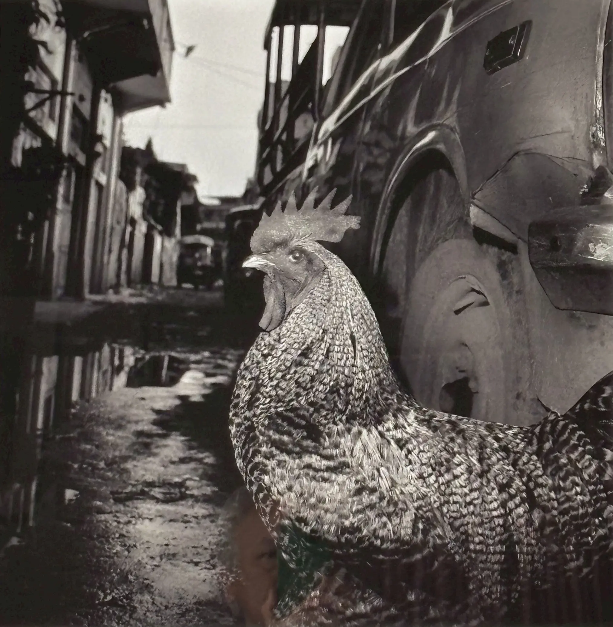 Photo One25 台北國際影像藝術節【photo One25 台北國際影像藝術節】鴉 深瀨昌久 日本攝影大師原作展01