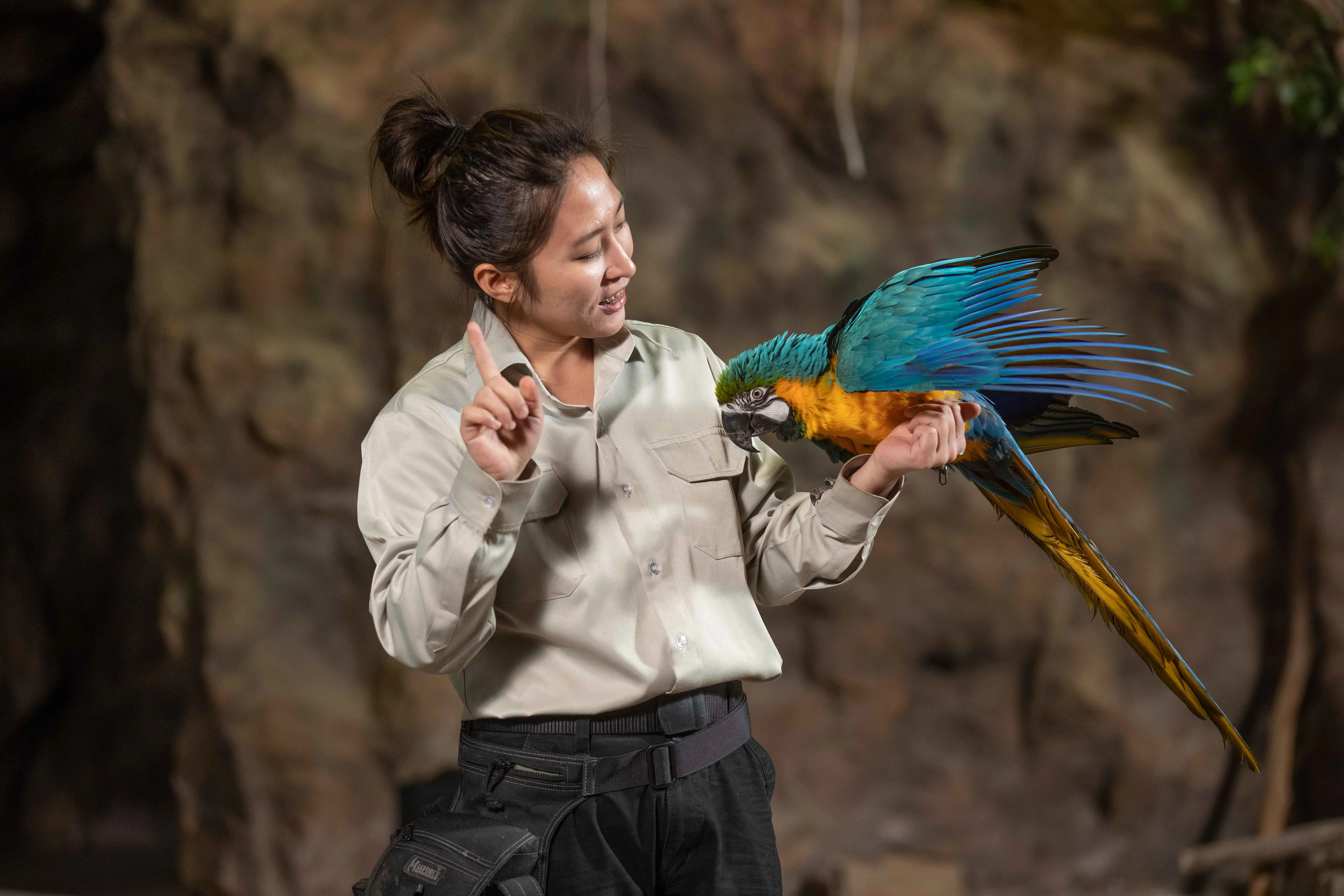 【關西六福莊】飛鳥探索家體驗，將學習與各種鳥禽們友善互動。 0