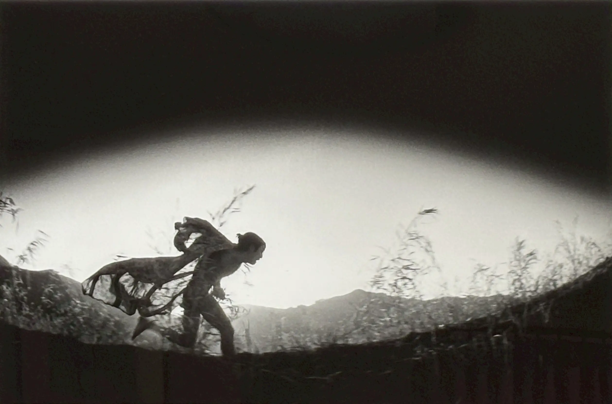 Photo One25 台北國際影像藝術節【photo One25 台北國際影像藝術節】鎌鼬 細江英公 日本攝影大師原作展