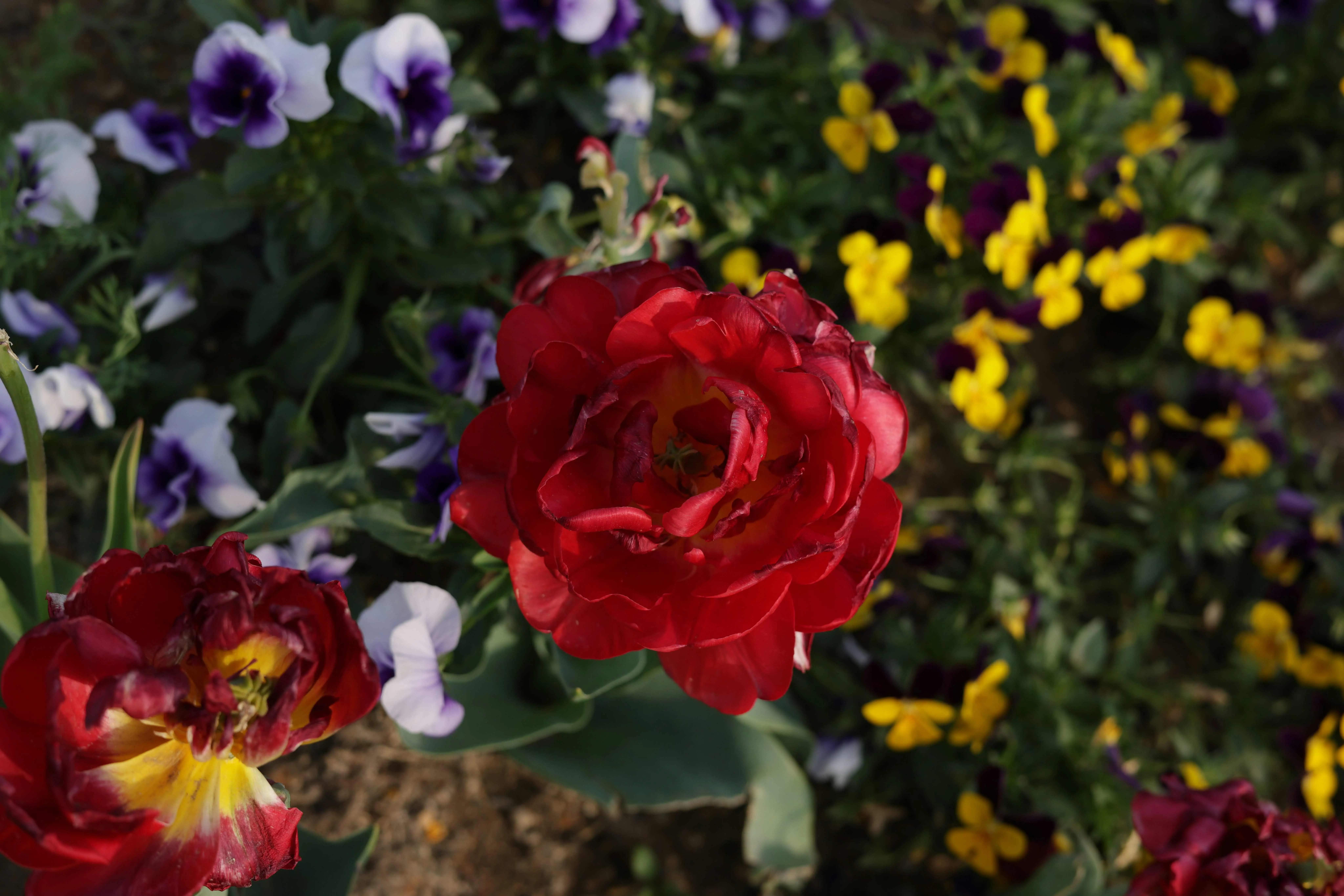 ©unsplash／bluegold H 1