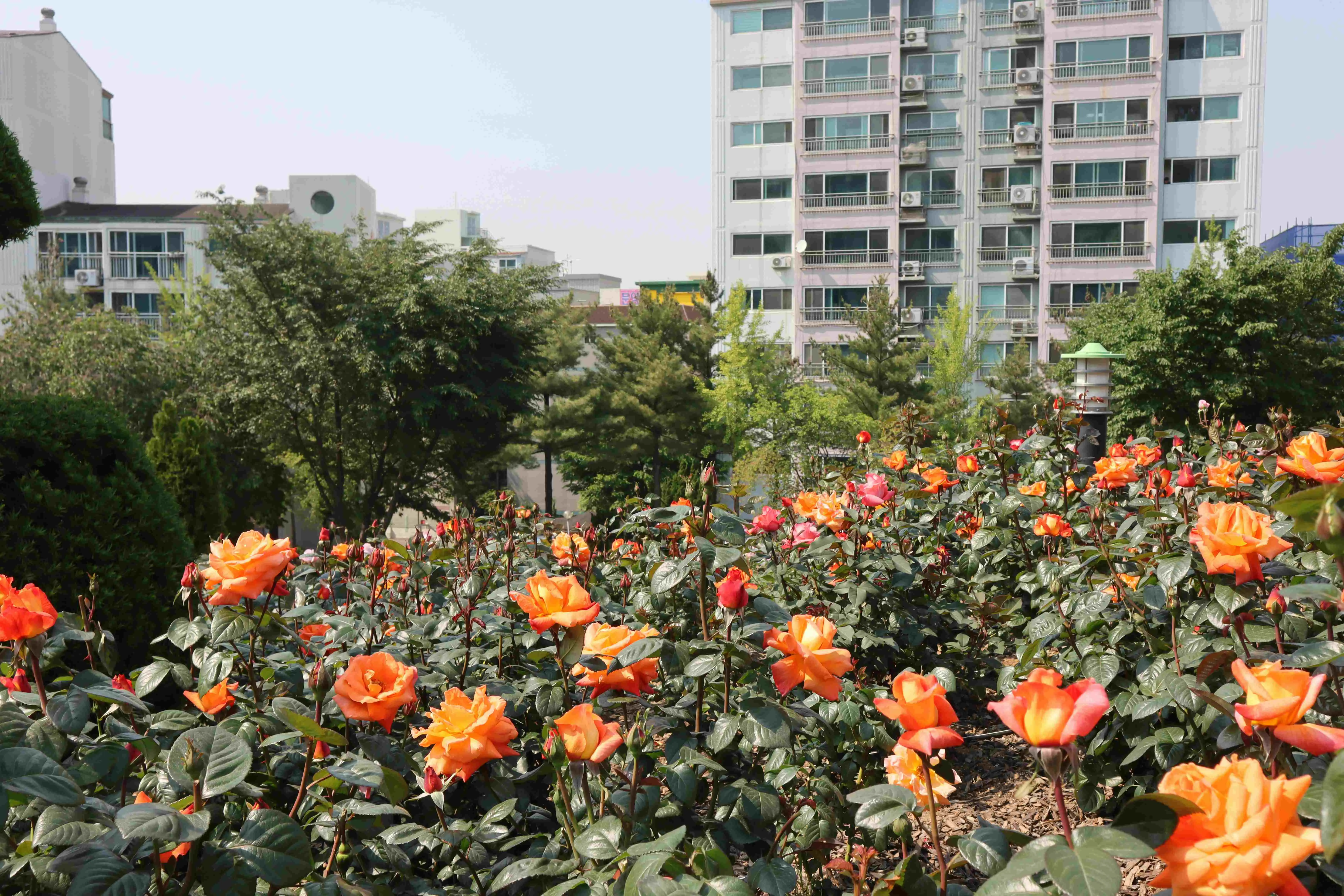 Photo By Yeojin Yun On Unsplash 0