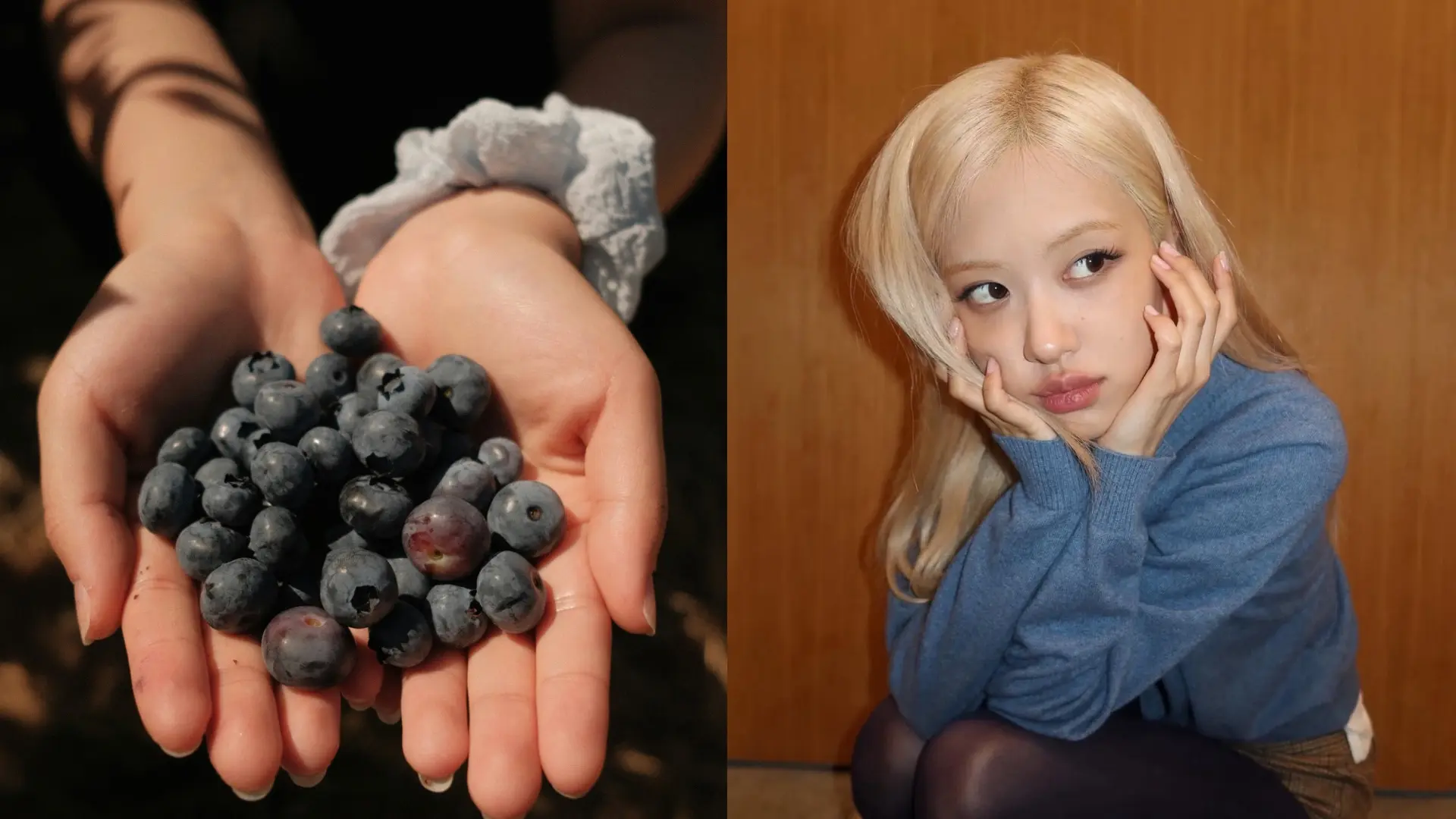 藍莓的營養魔法：小小果實，大大功效