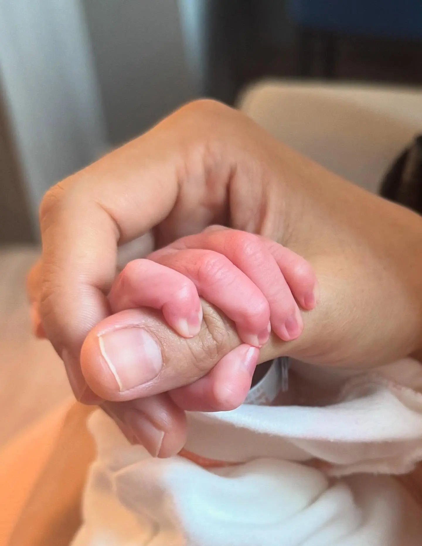 506322895 18196624198309190 2542749425959212816 N