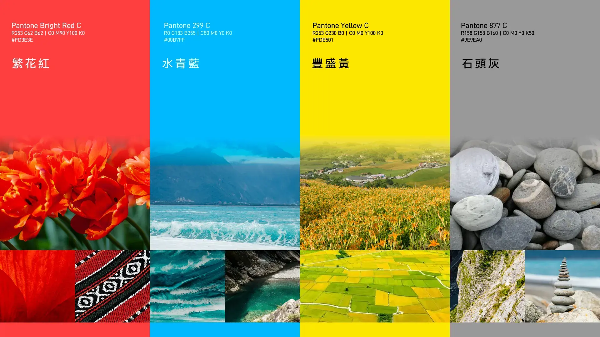 附圖五 繁花盛開計劃識別系統 色彩規劃