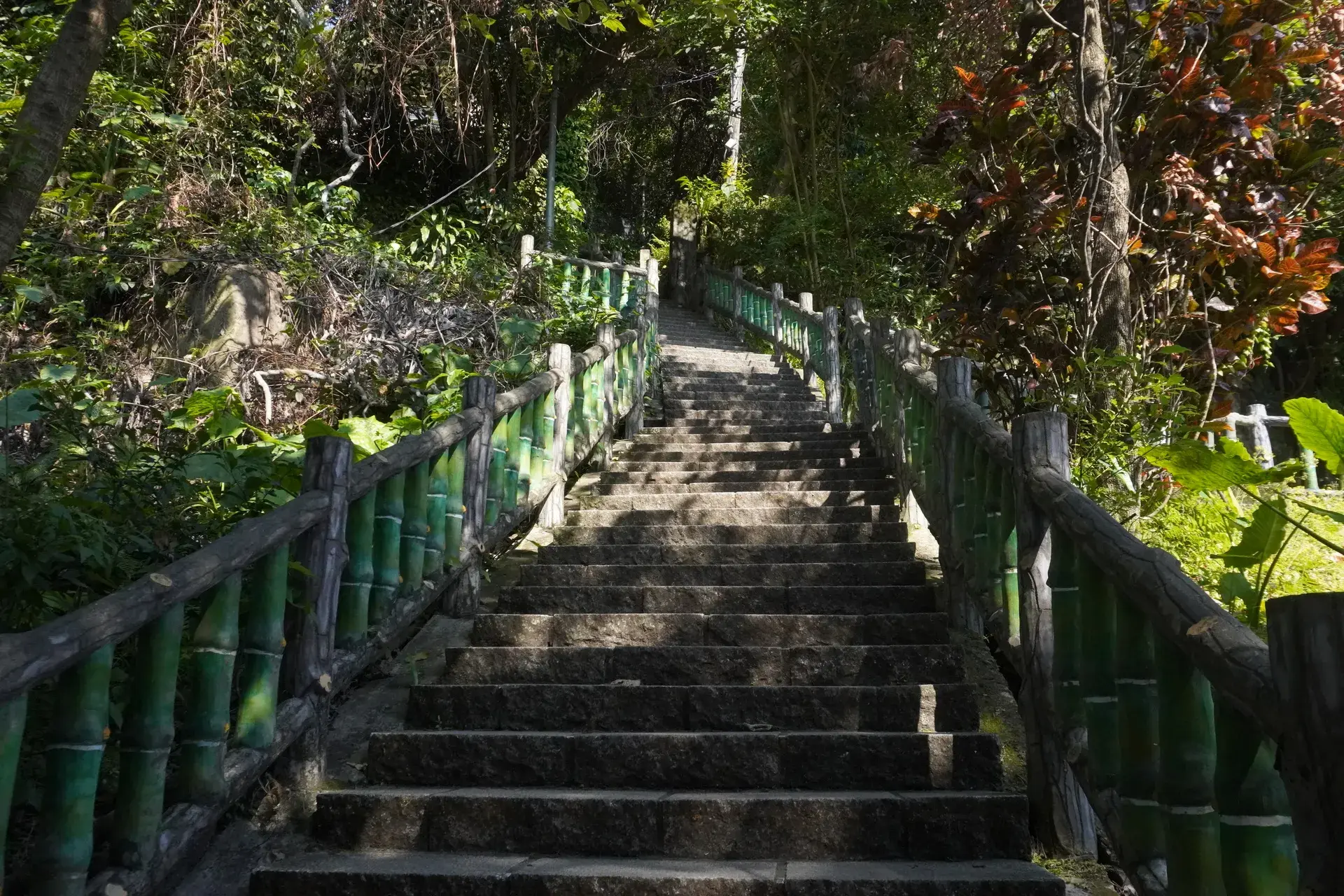 台北山林步道 劍潭山親山步道02