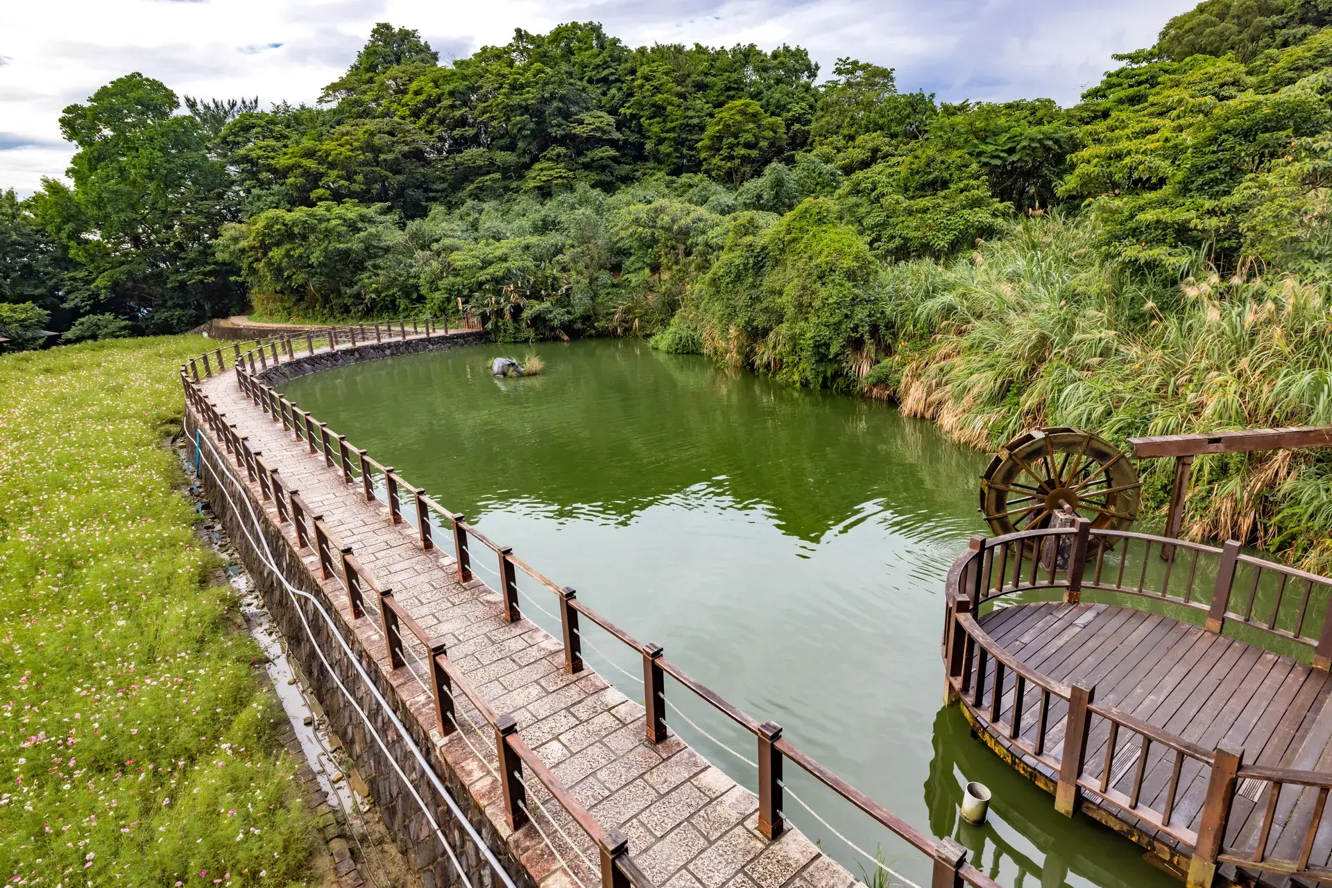 台北山林步道 貓空樟樹步道14