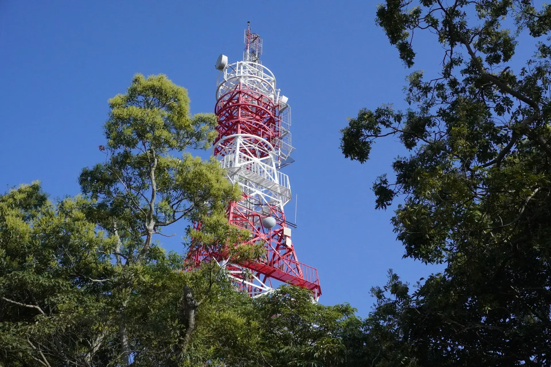 台北山林步道 劍潭山親山步道04