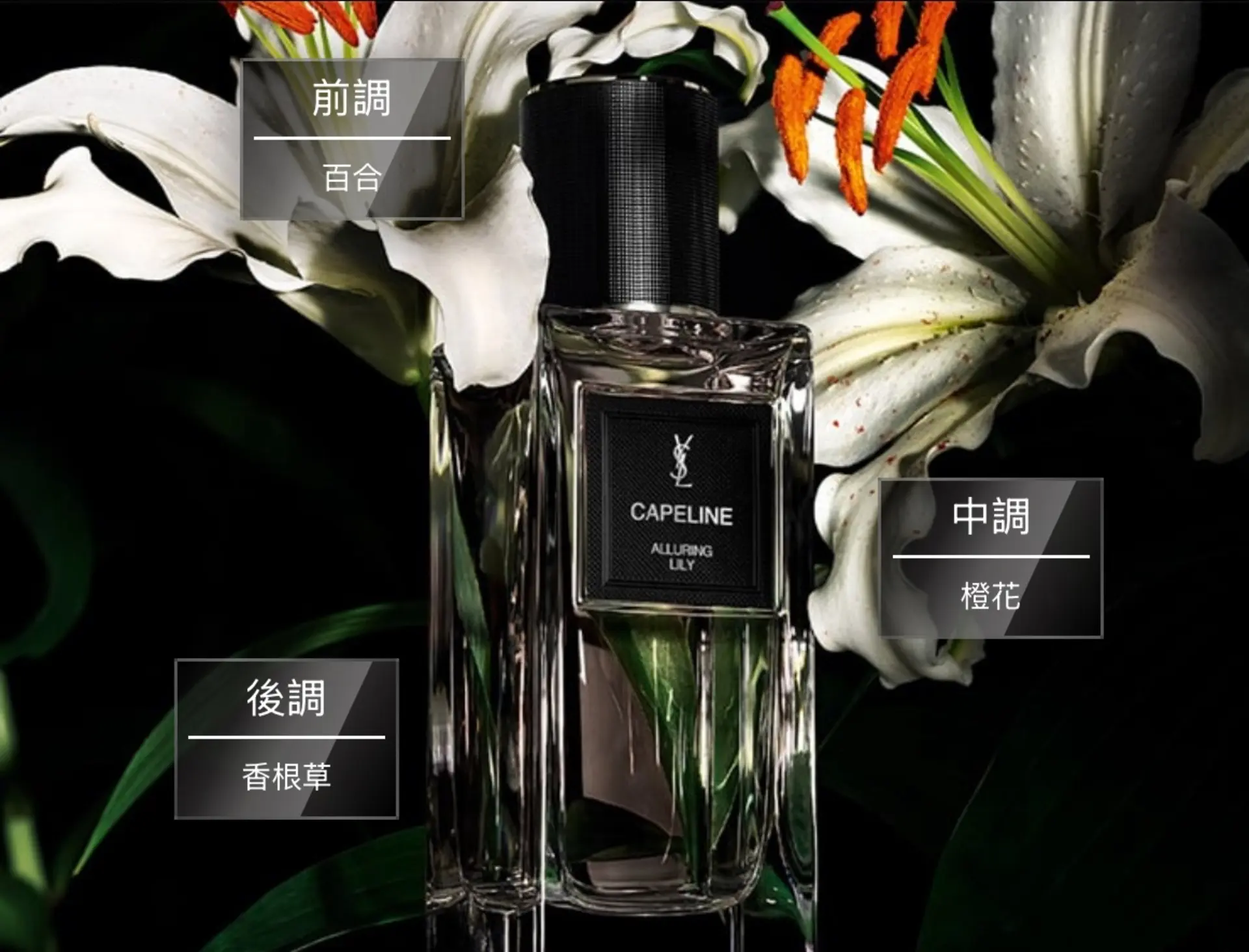 【ysl】2025秋冬香水推薦 Ysl 時尚訂製香水 寬簷帽