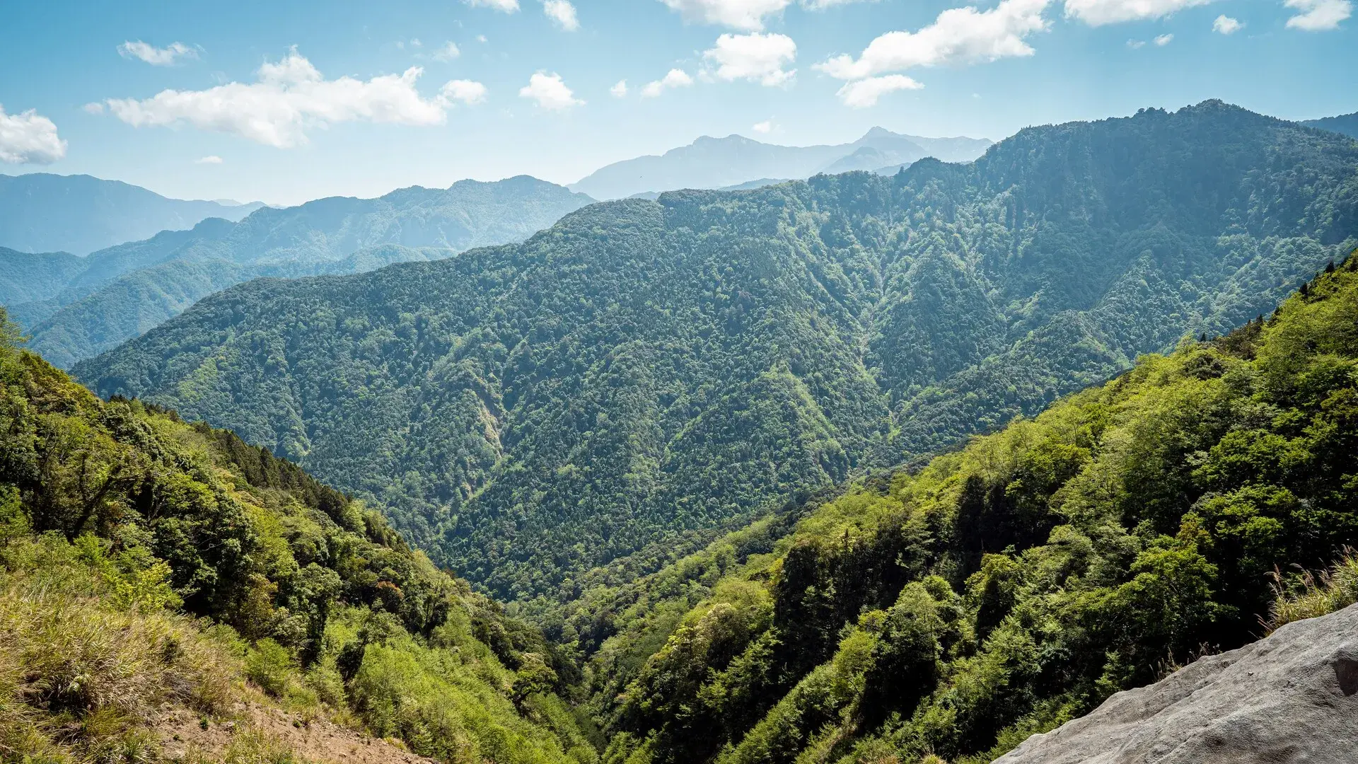阿里山高山雲霧美景