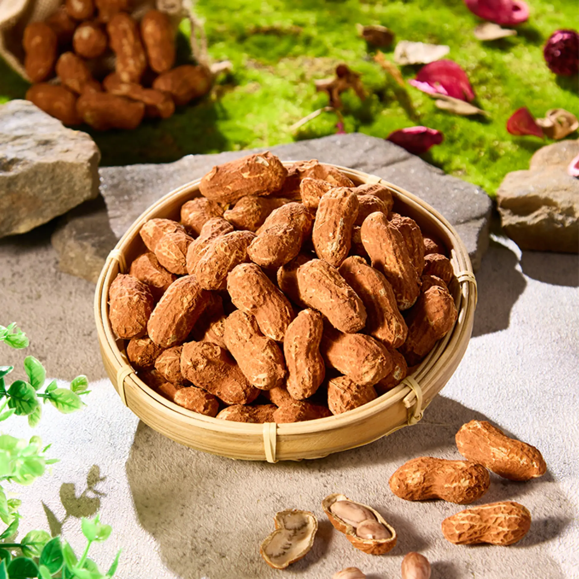 【鄭美香】補鐵 食物 花生