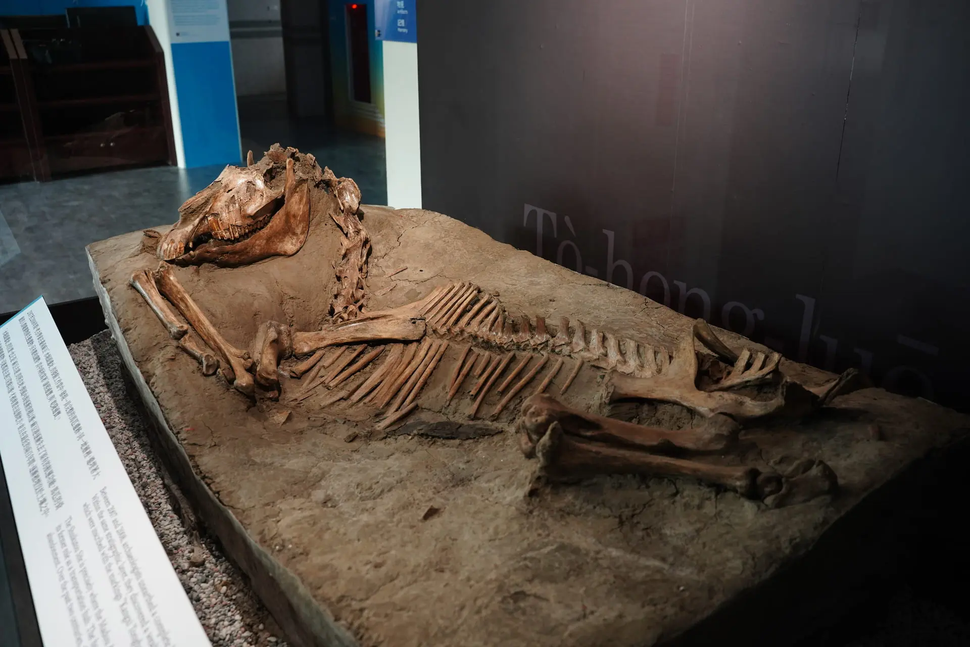 臺南倒風內海故事館 1