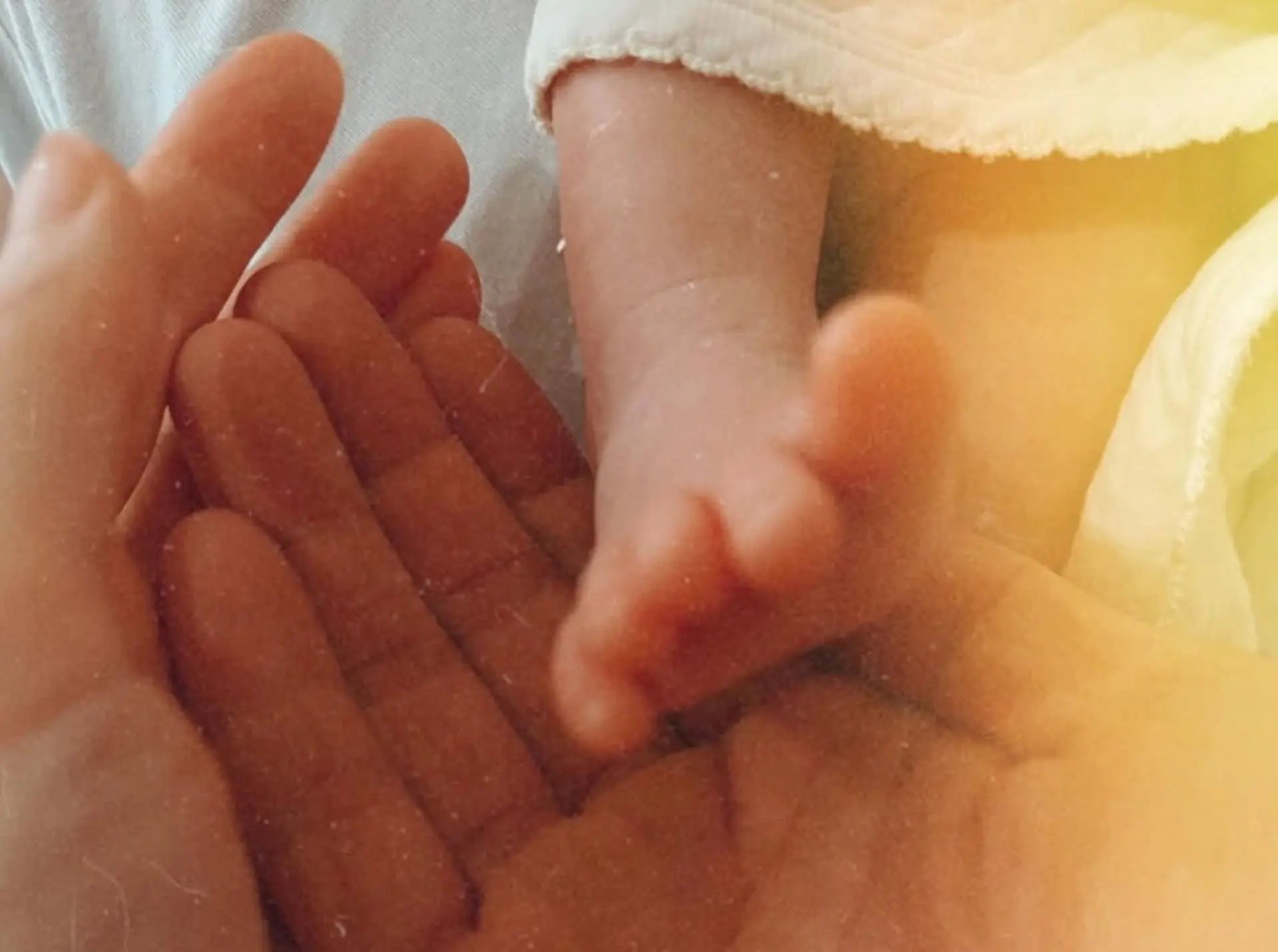 【anno8o7】邱澤許瑋甯 婚禮 合照02