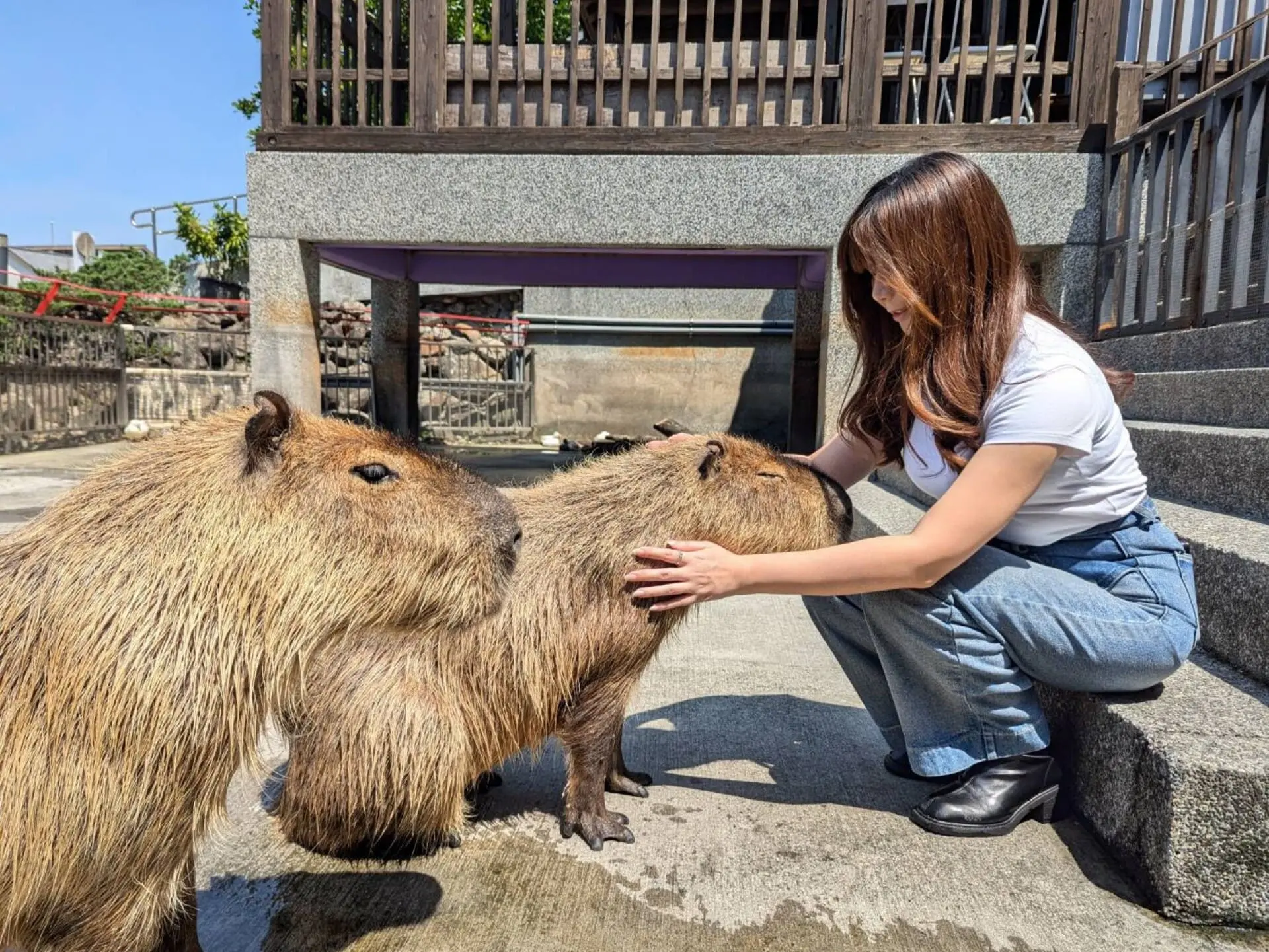 綠舞國際觀光飯店 4