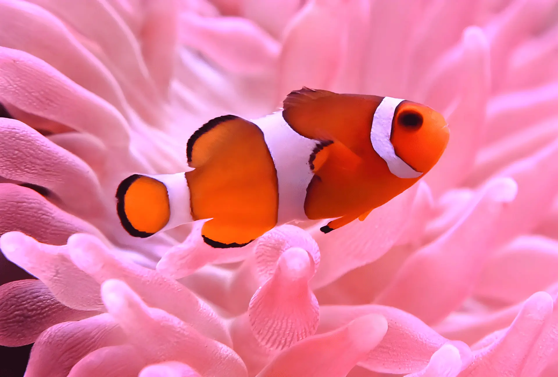 野柳海洋世界 1