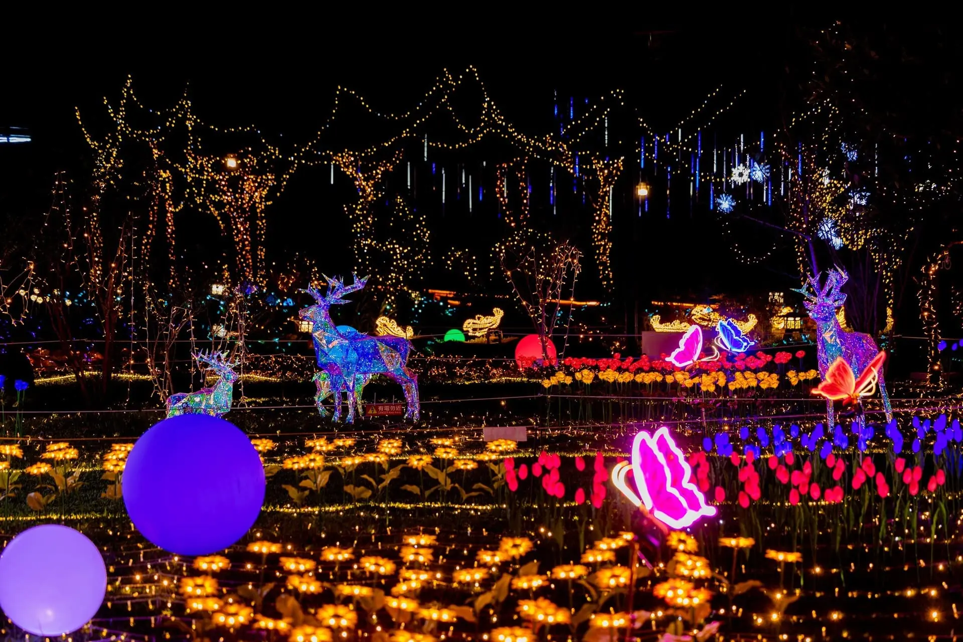 【參山國家風景區管理處】聖誕節 2025 山谷燈光節02