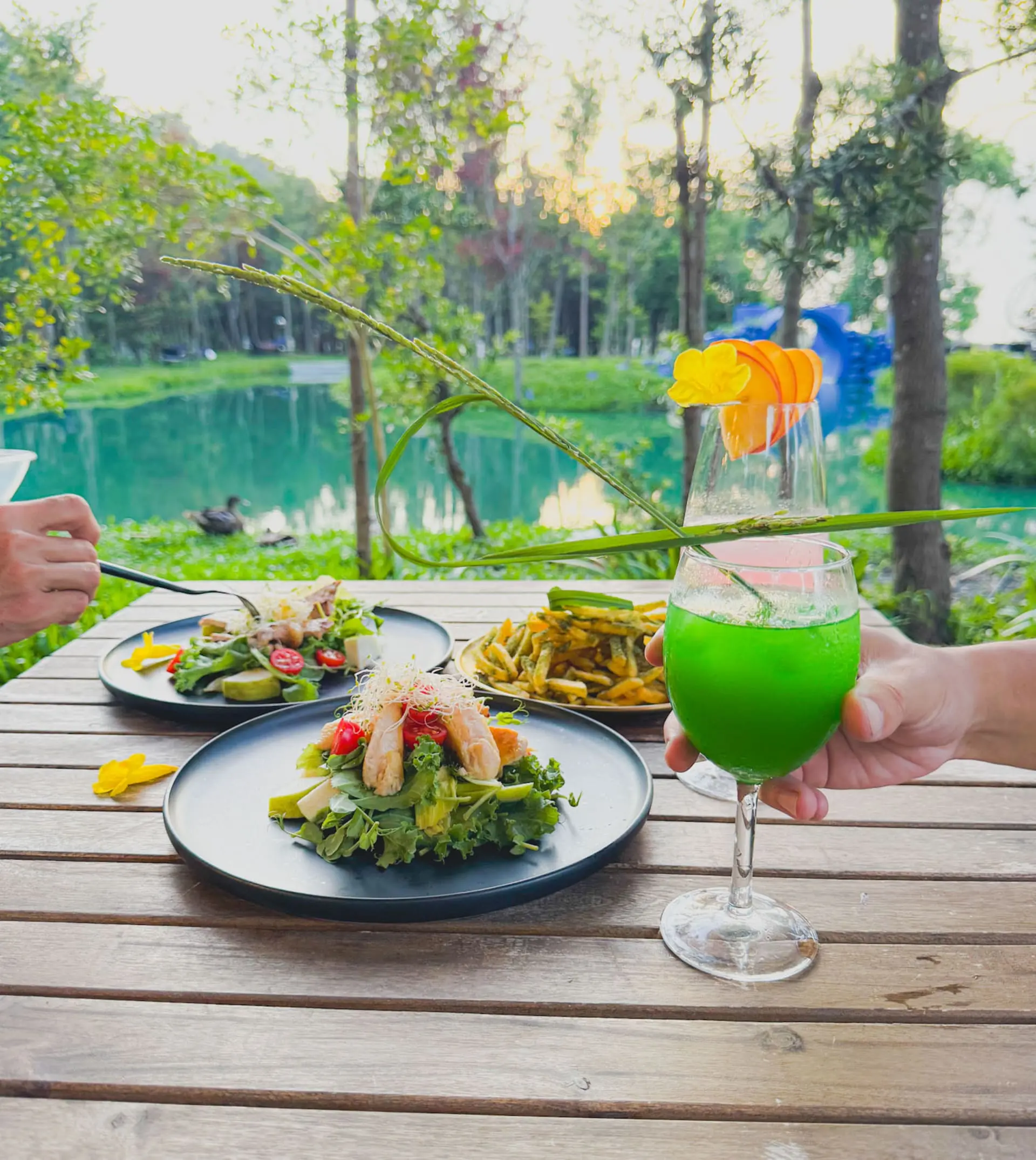 喜鵲方舟fairyland 4