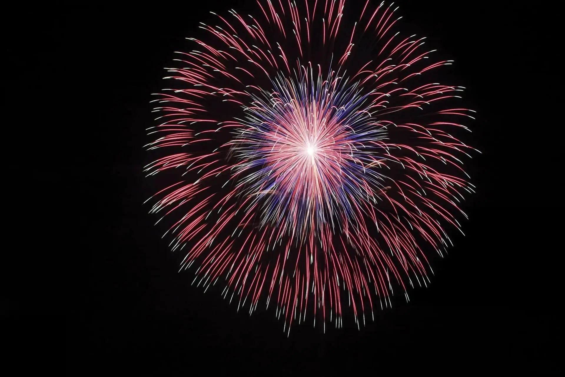 【新北市政府】閃耀新北1314 煙火 八重蕊