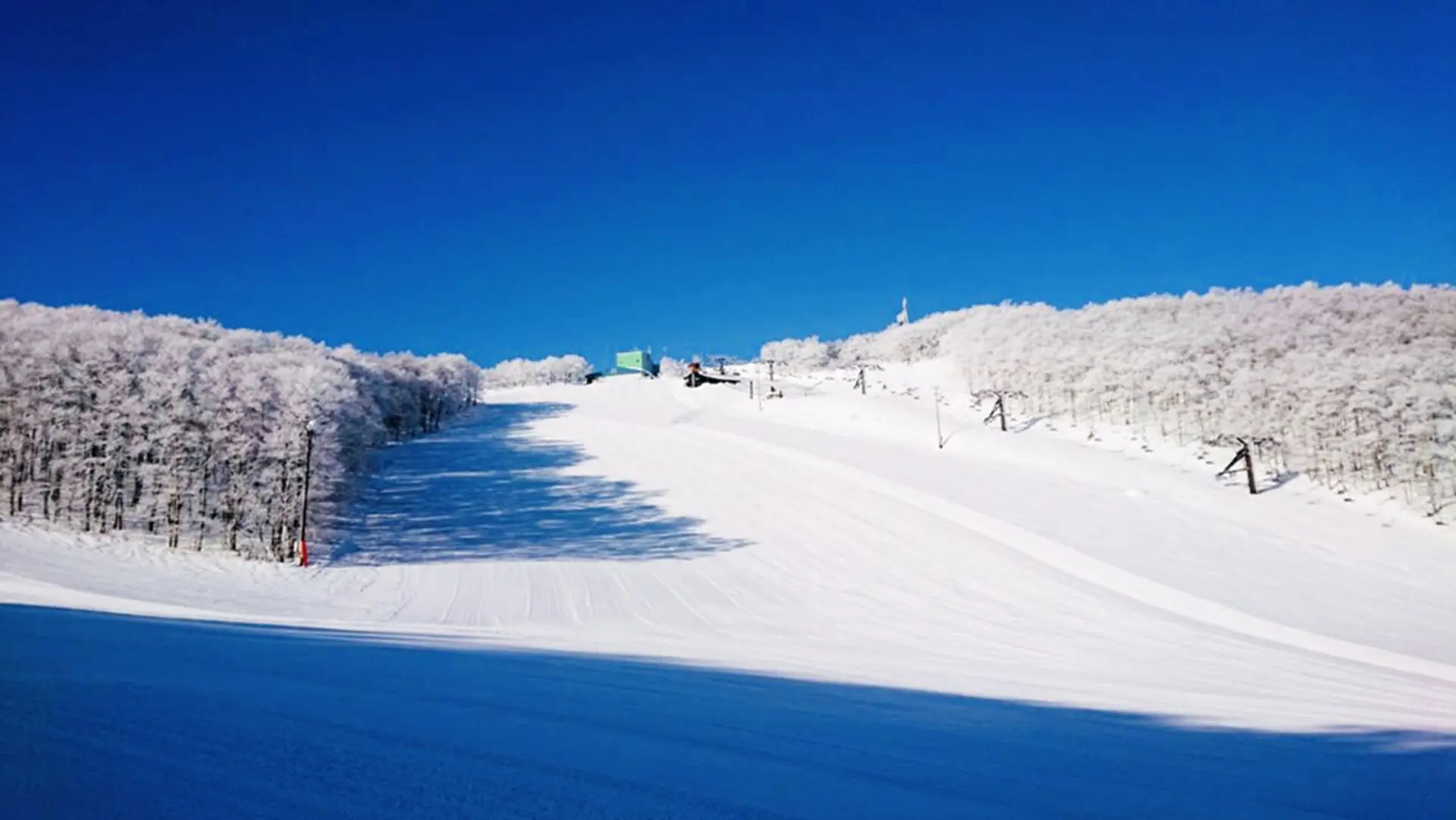 【藏王】日本滑雪場 藏王02