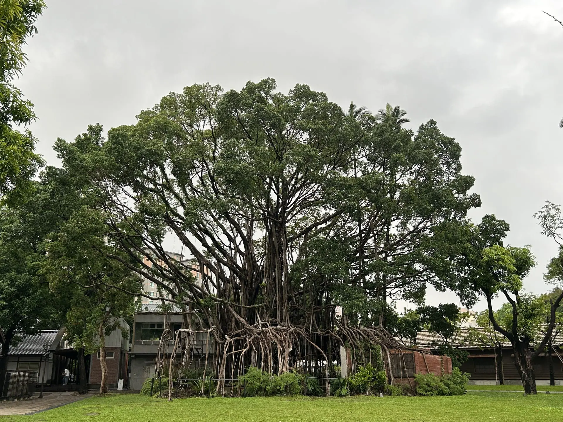 國家漫畫博物館 Ntmc 3