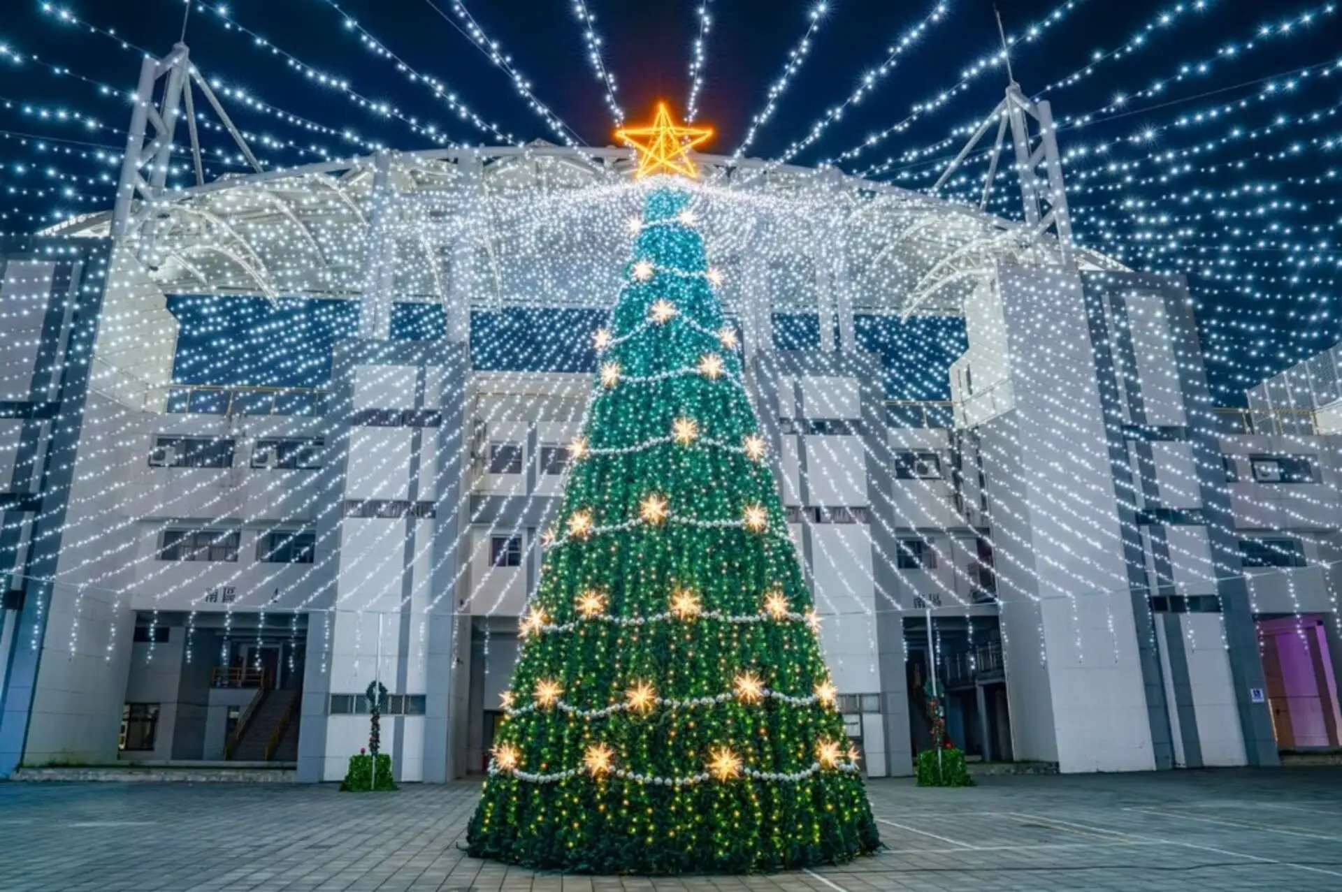 【屏東縣政府】聖誕節 屏東 聖誕節03