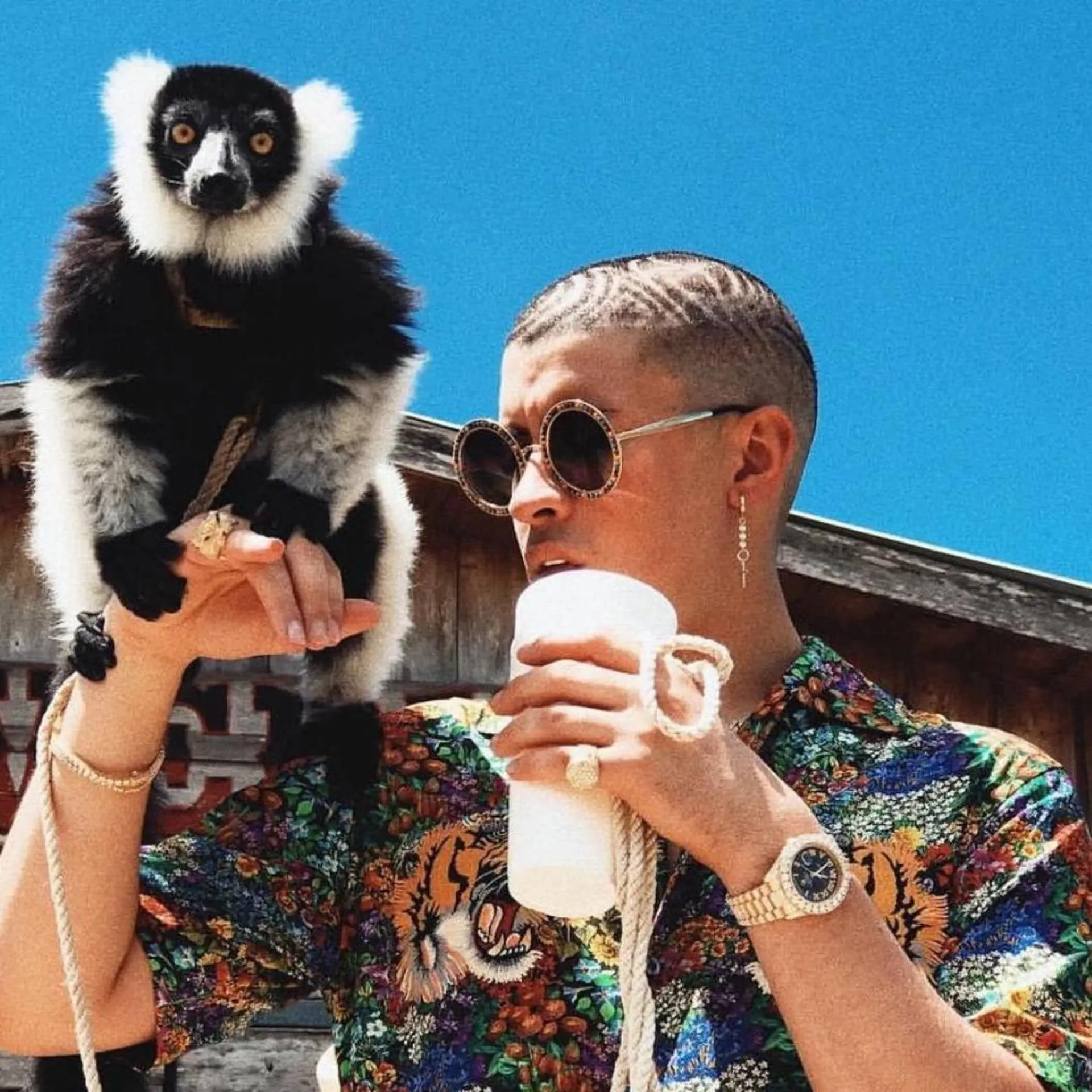 【bad Bunny】spotufy 最受歡迎藝人 Bad Bunny02