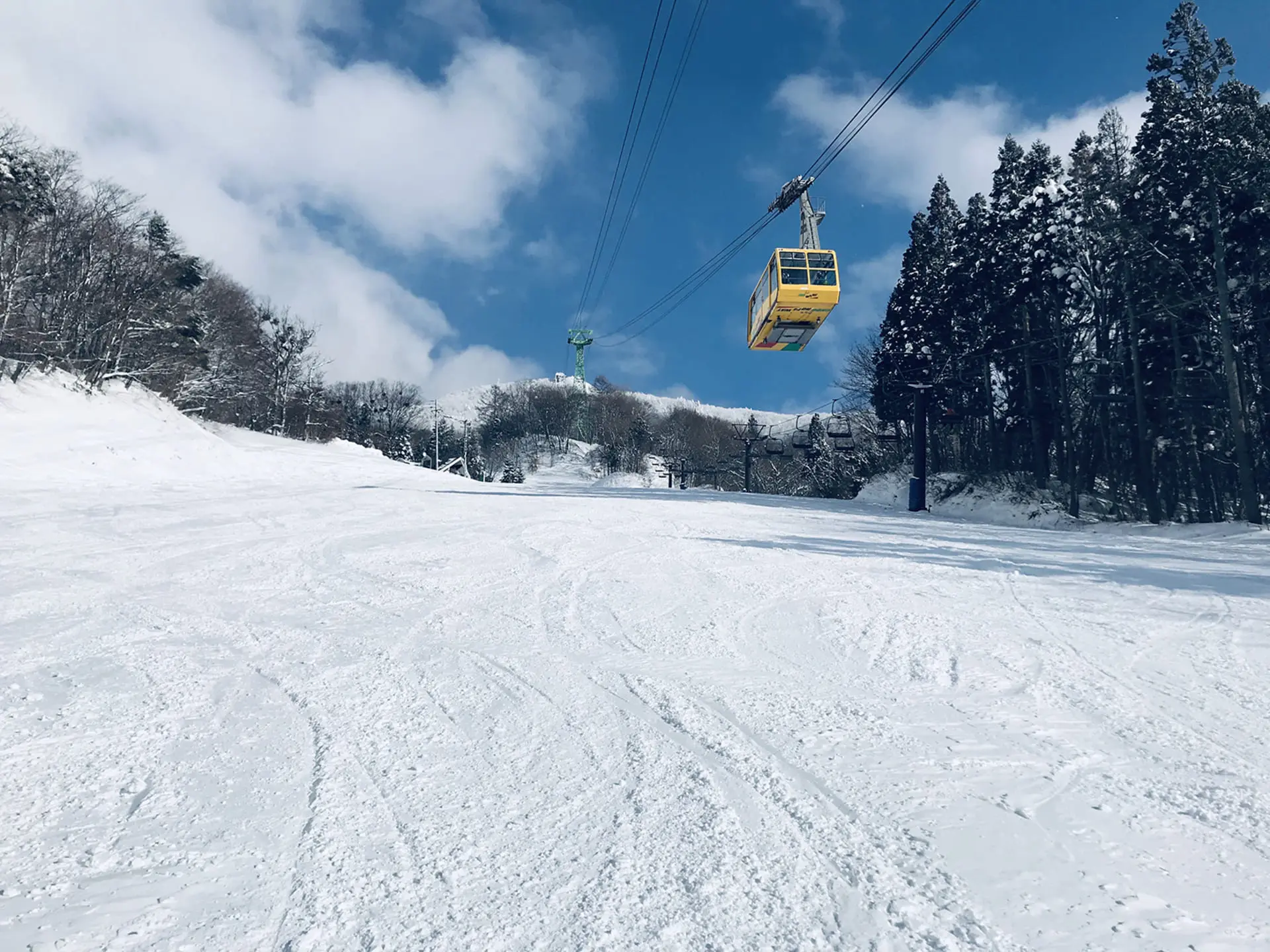 【藏王】日本滑雪場 藏王01