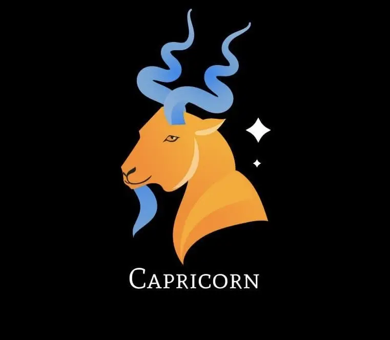 【freepik】星座運勢 1月 摩羯座