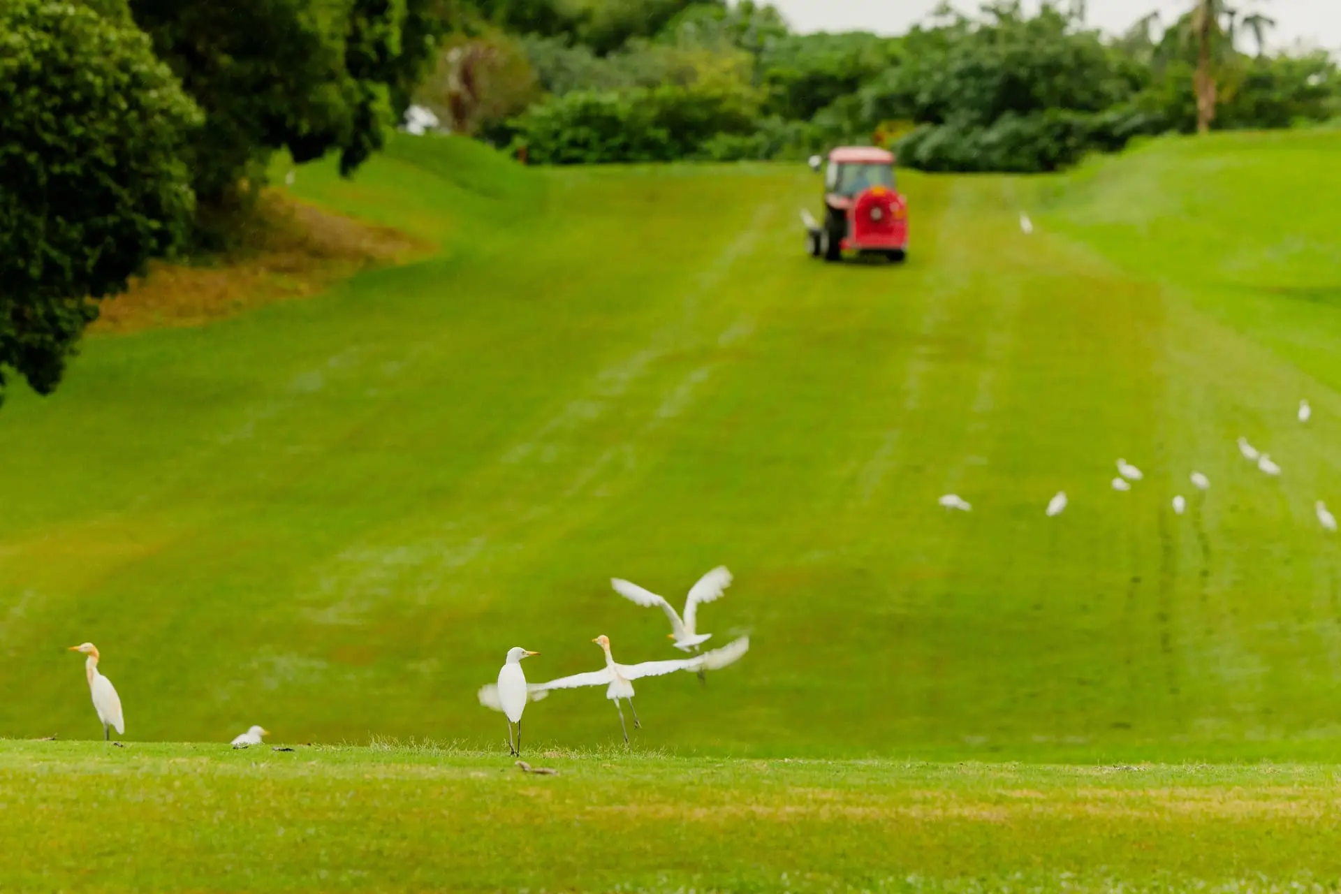 【高雄果嶺自然公園】高雄果嶺自然公園 03