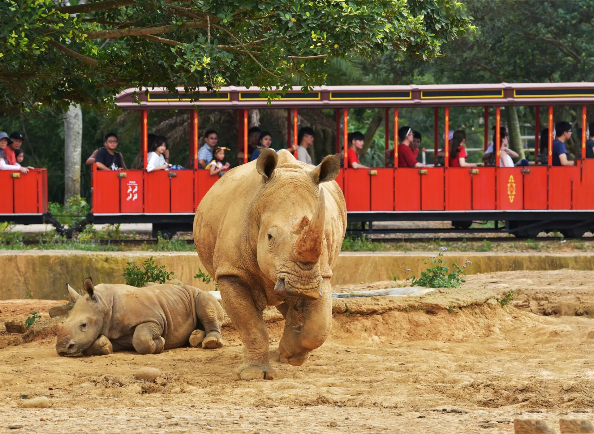 六福村主題遊樂園 2