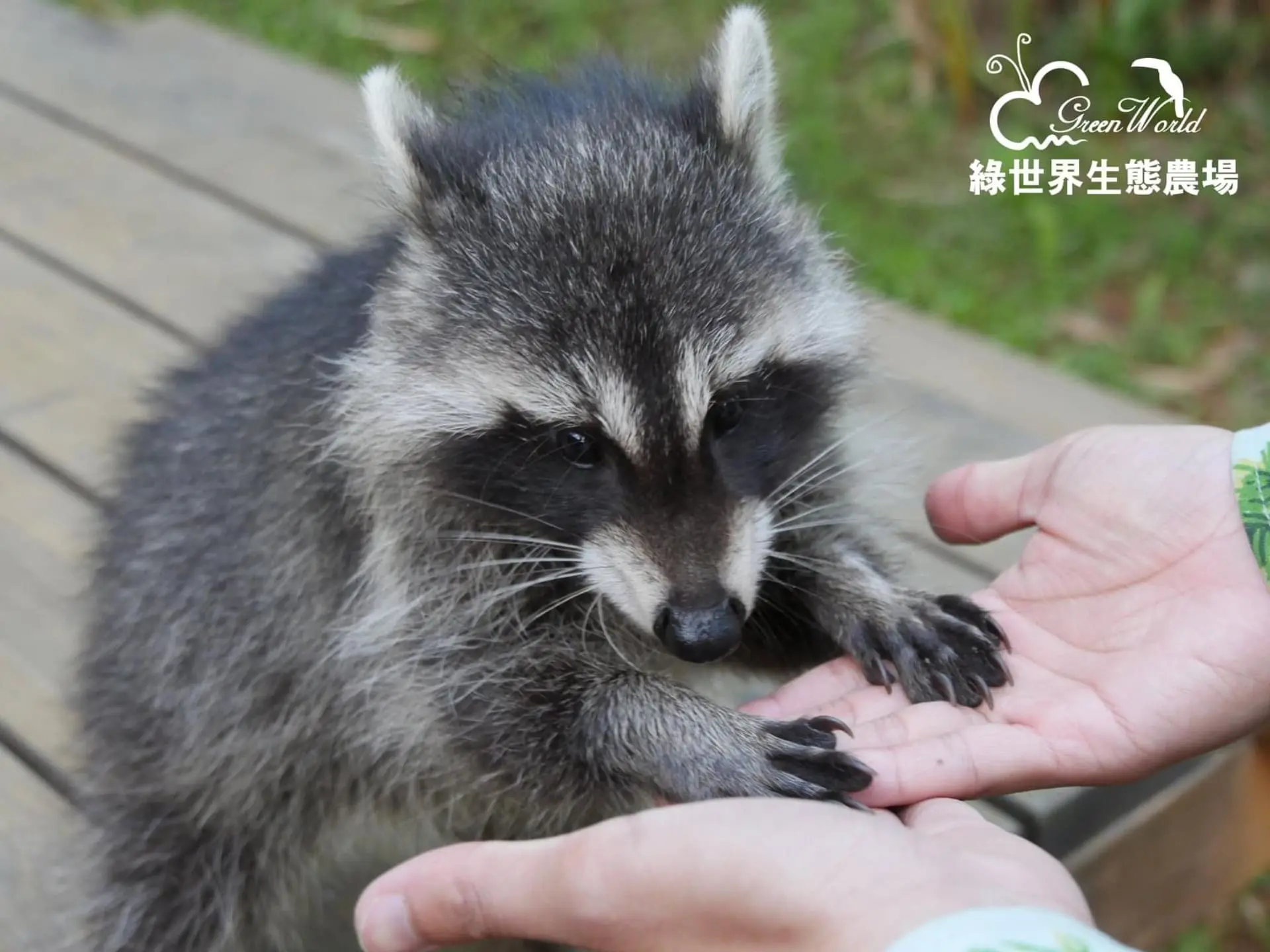 綠世界生態農場 1