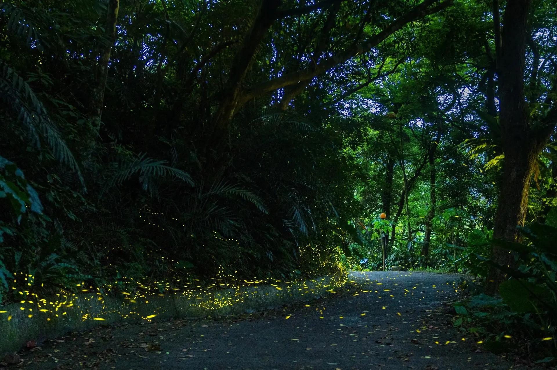 頭城休閒農場 1