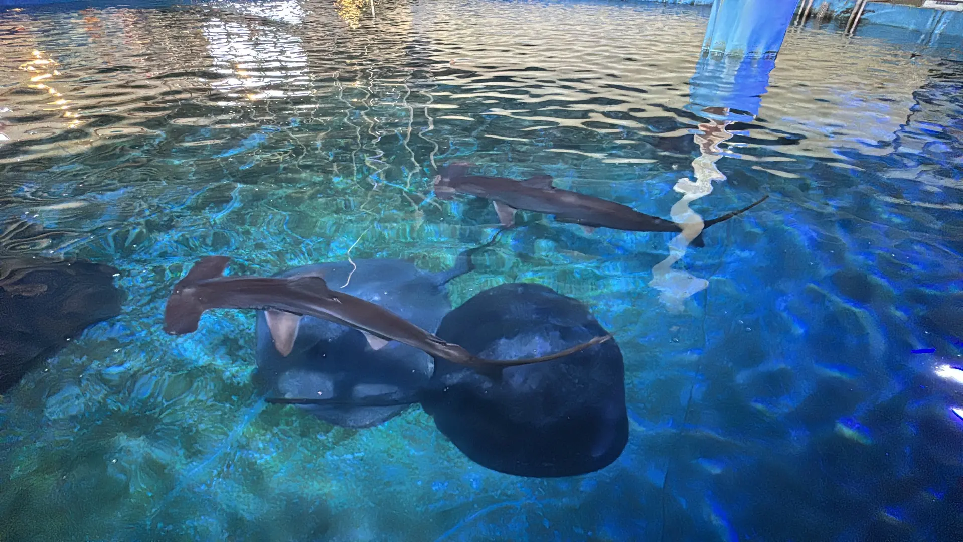 金車生技水產養殖研發中心 3