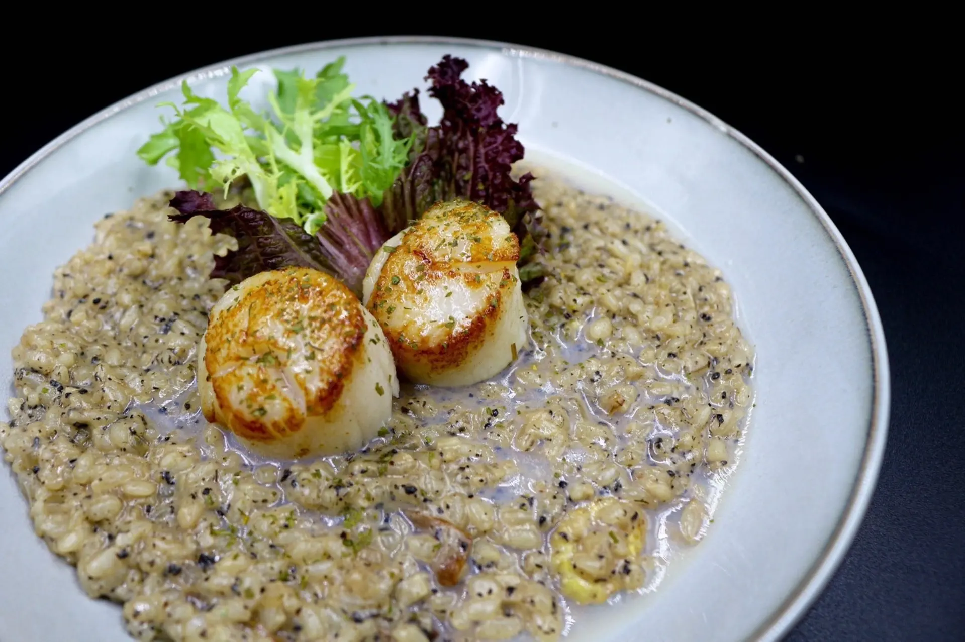 微醺花園 Tipsy Garden 2