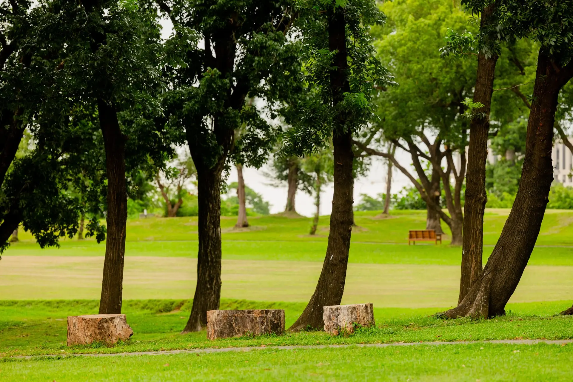 【高雄果嶺自然公園】高雄果嶺自然公園 01