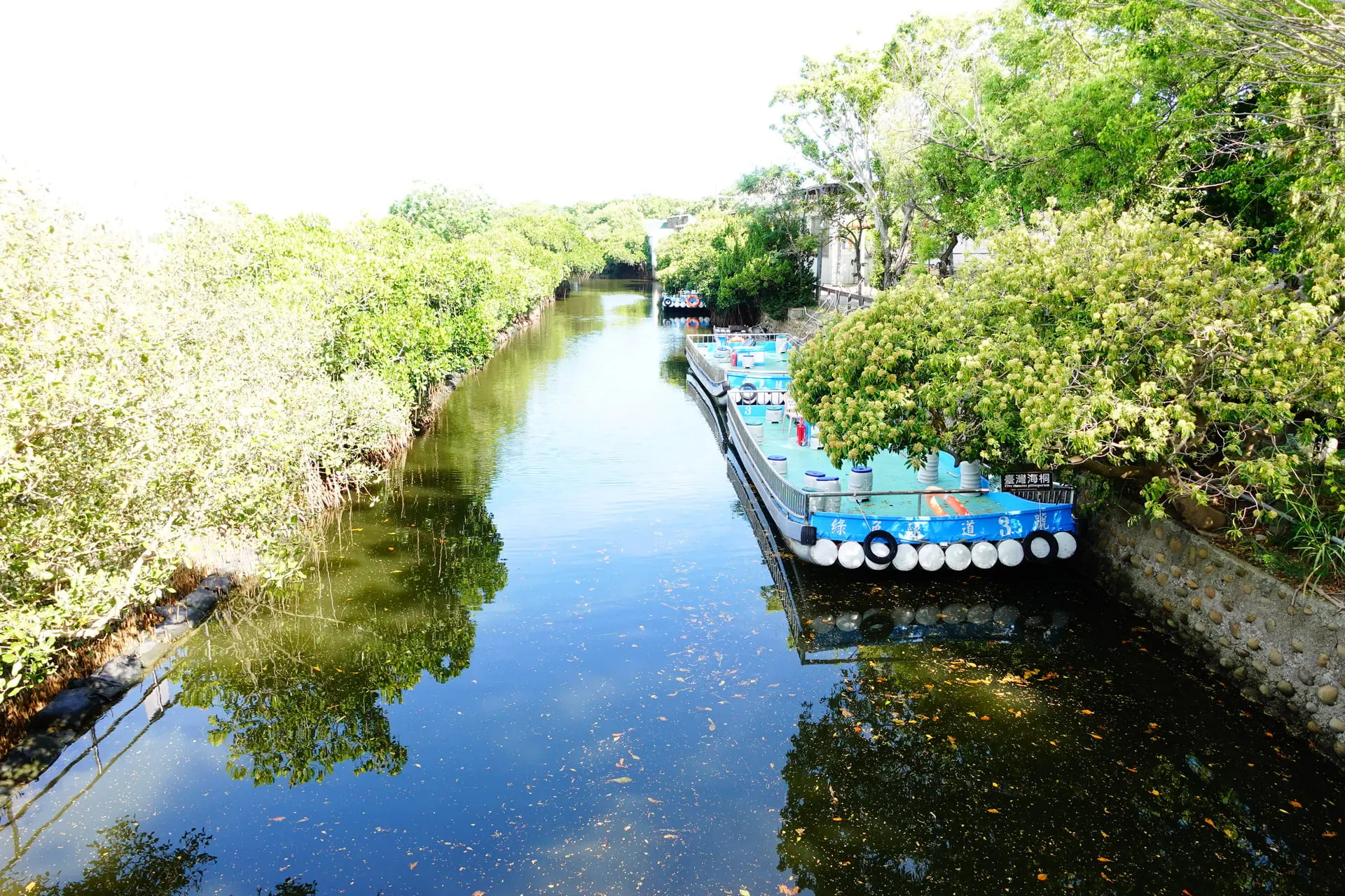 四草綠色隧道 1