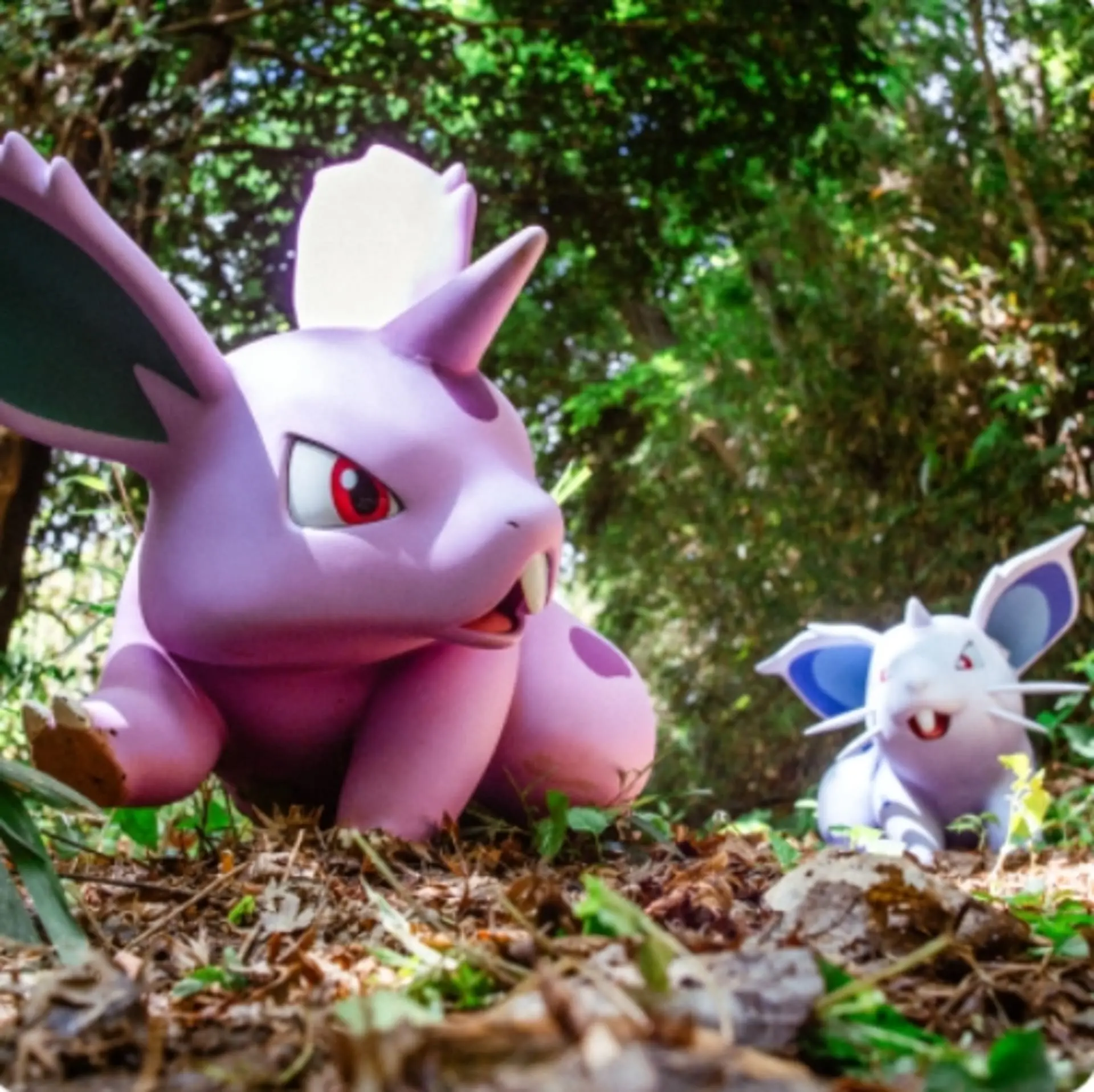 【pokepark】寶可夢樂園 寶可夢森林01